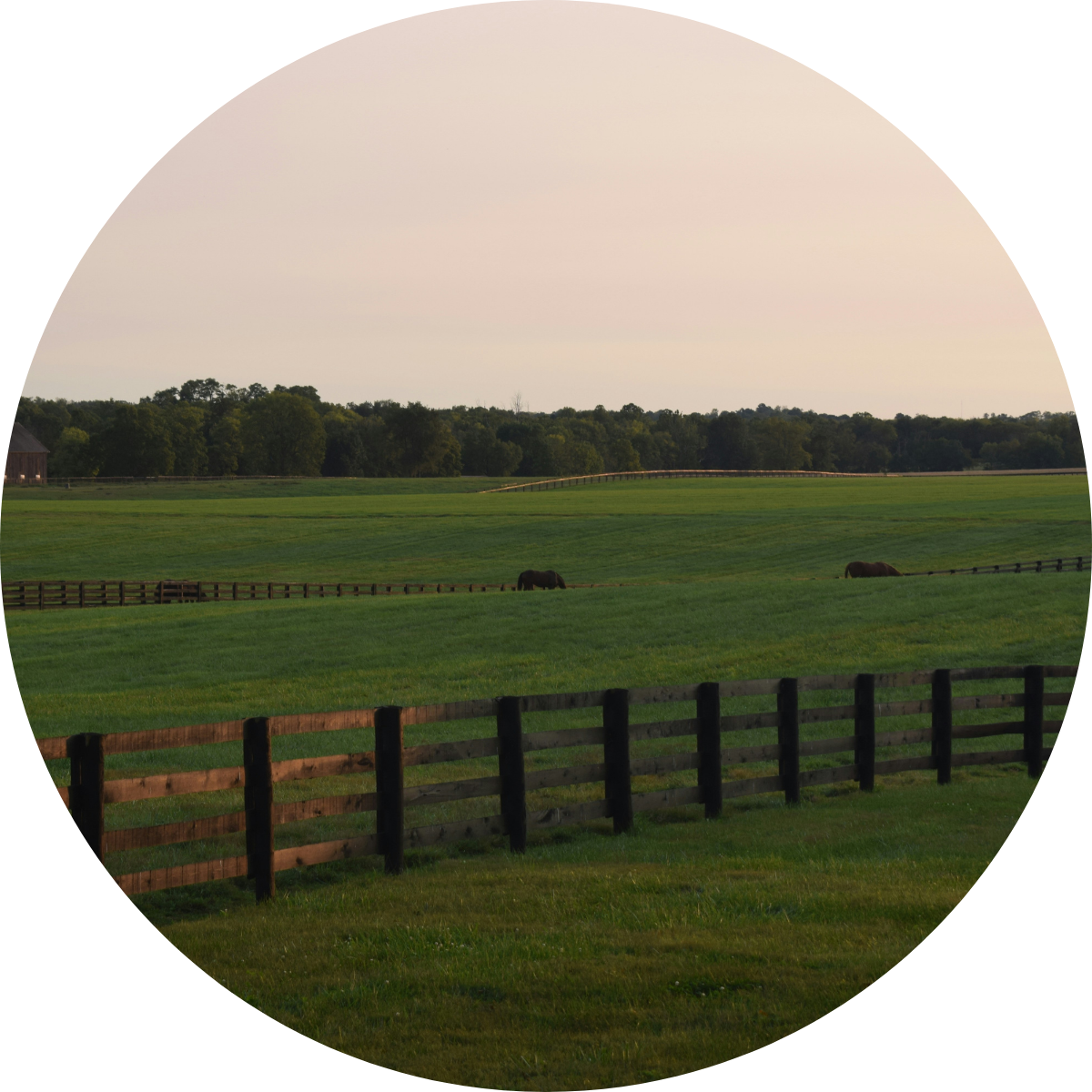 Lexington, KY