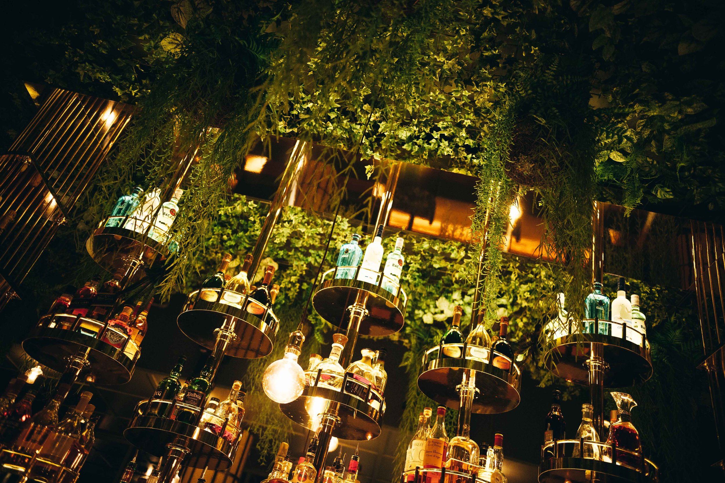 Meny — Amazonia by BAR