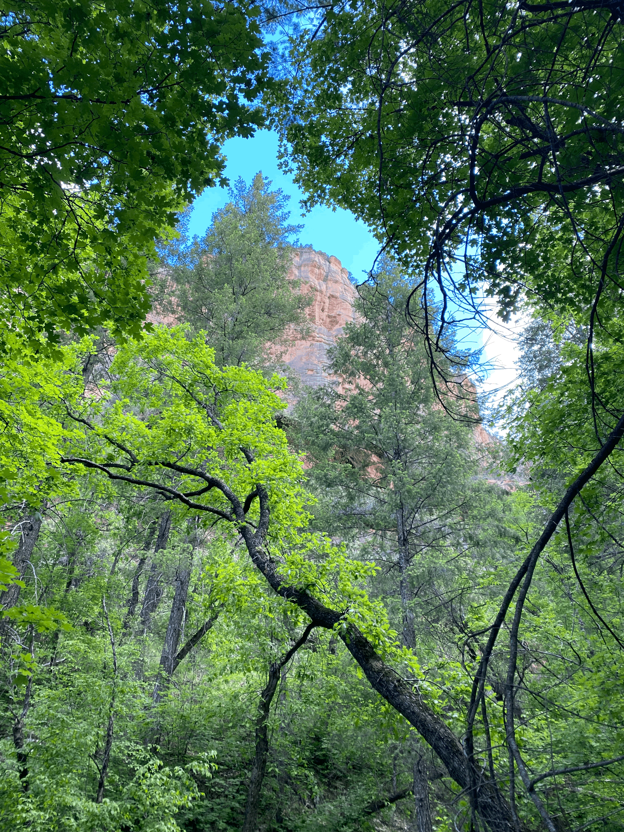 Take Aim: How Setting Goals and Taking Action Lead to Synchronicity and Manifestation