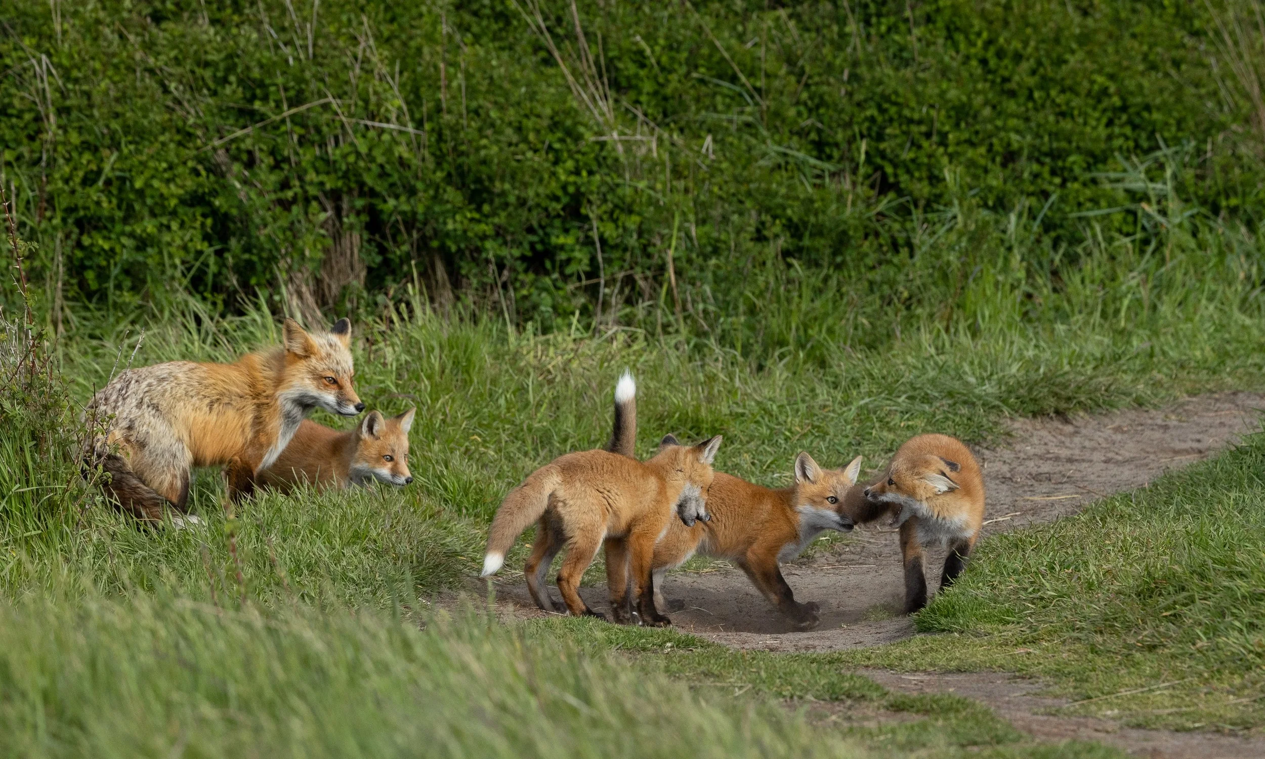 MichelleRay1-23.jpg
