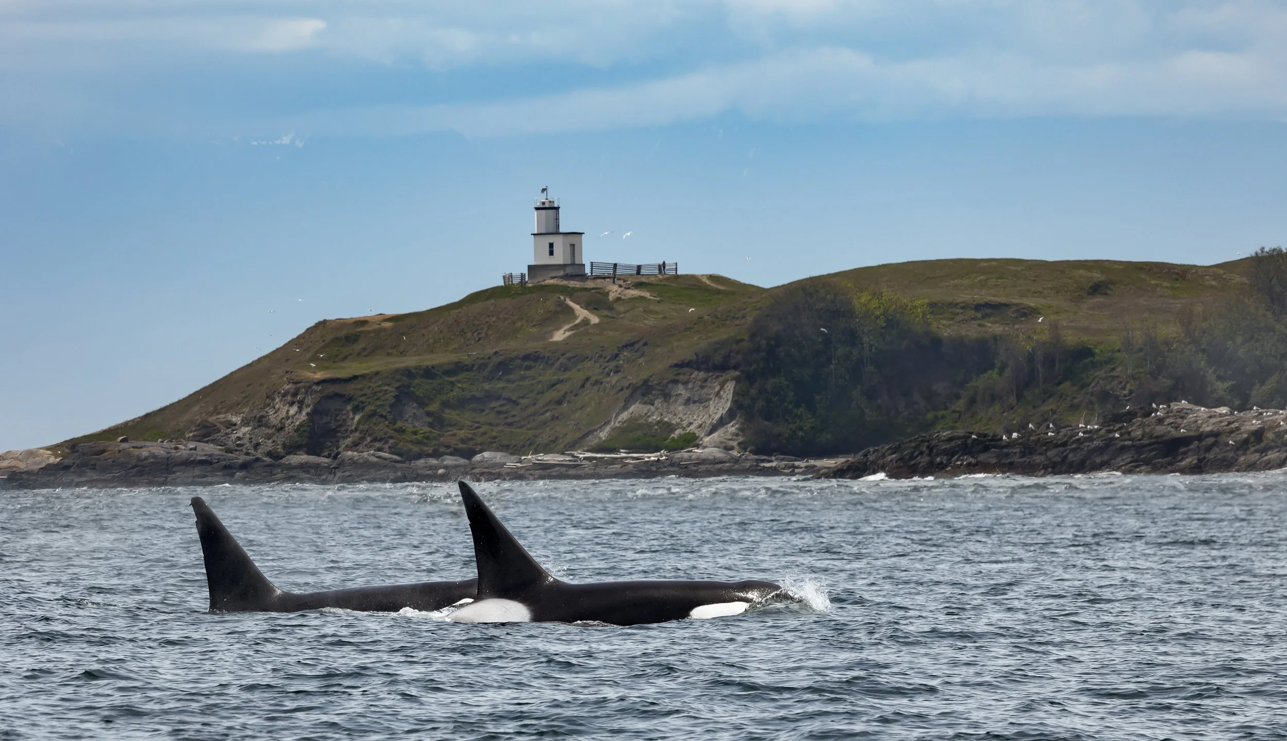 MichelleRay1-53.jpg