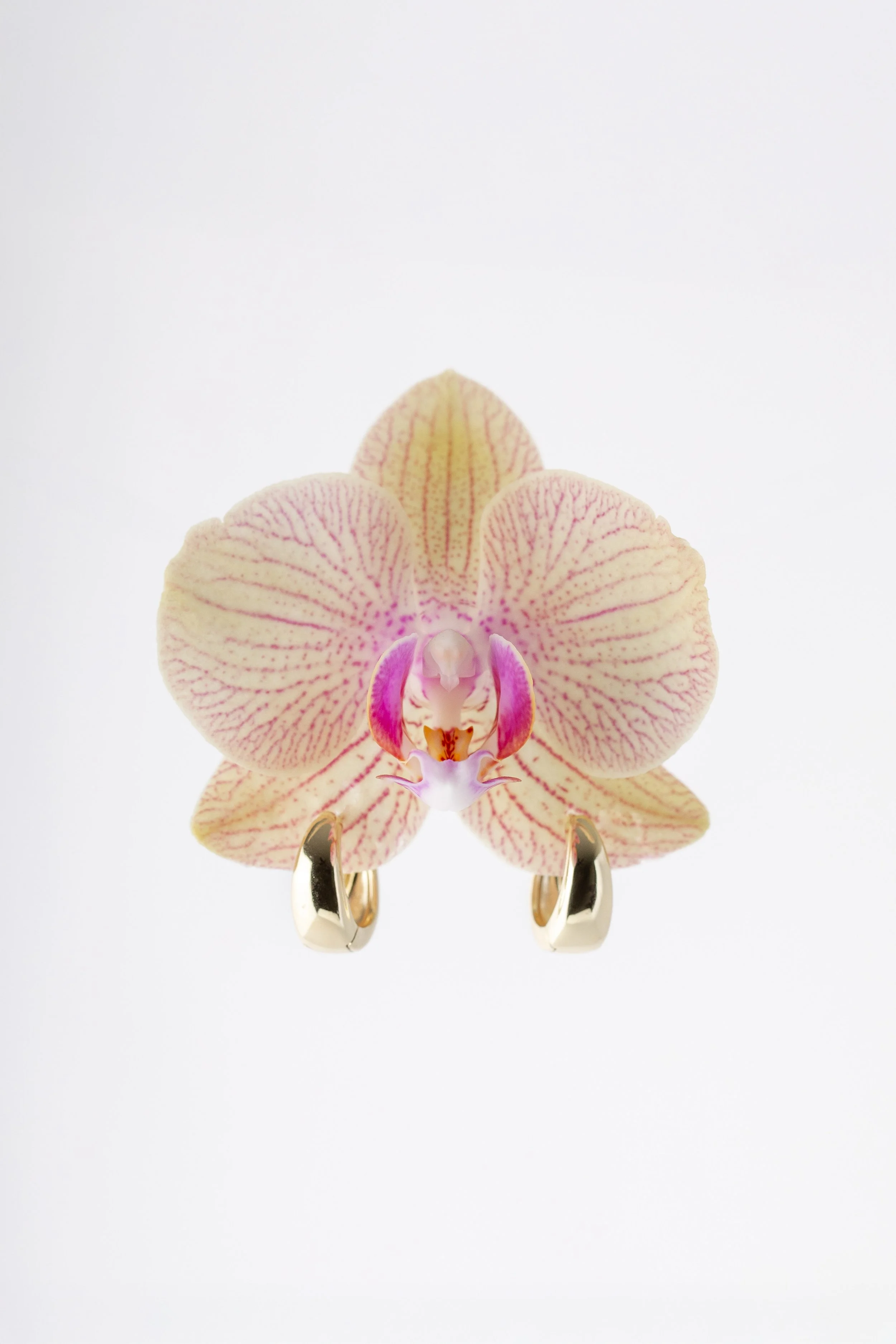 LuckyLotus_Hawaii-Island-Jewelry_9790.jpg