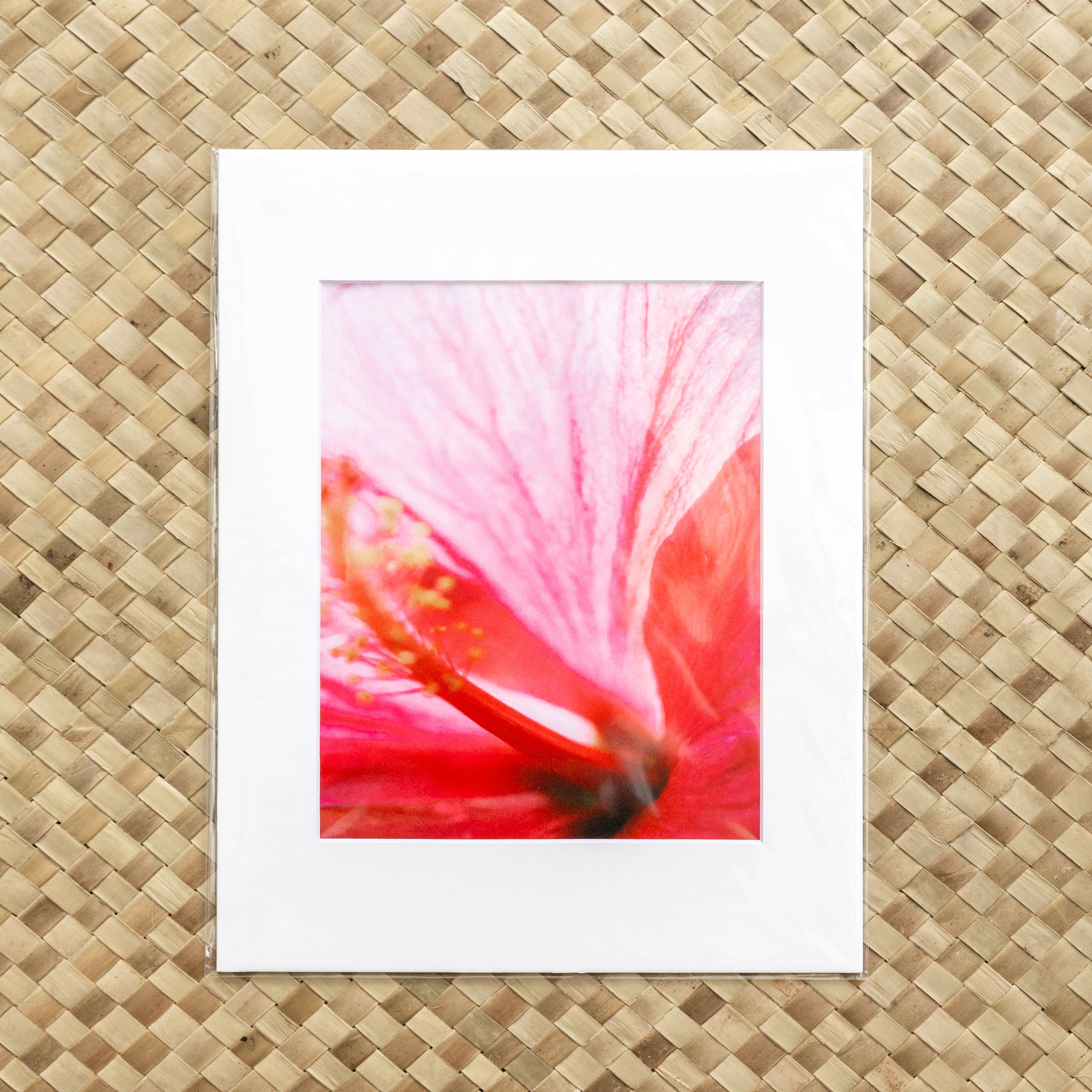 SHAY8455_ShaylaPeneraStudio_Big-Island-Photographer_Kailua-Kona.jpg