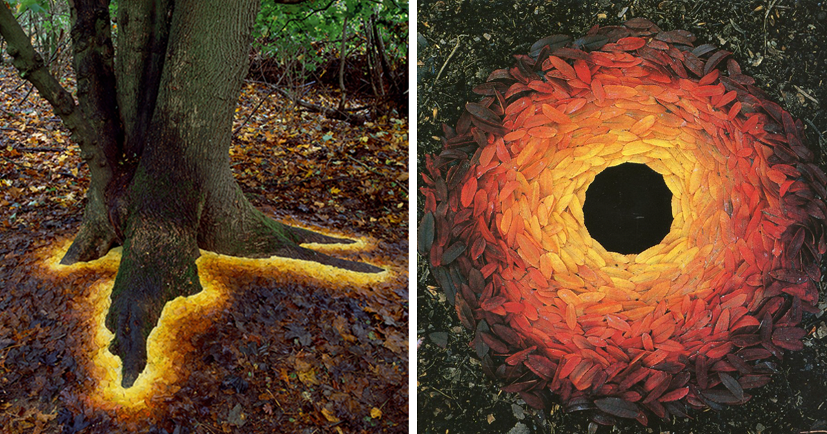 Andy Goldsworthy_10.png