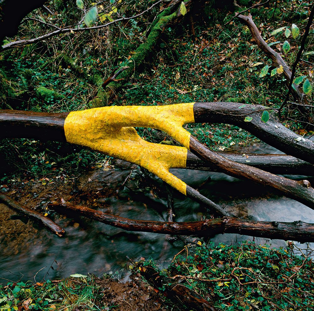 Andy Goldsworthy_11.jpg