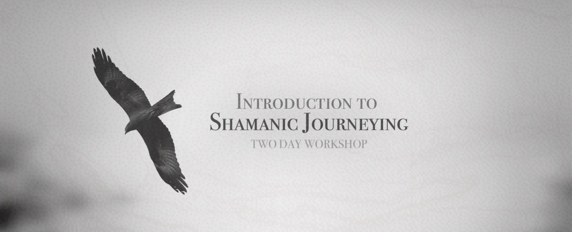 Introduction to Shamanic Journeying Two Day Workshop.  Image shows a hawk.
