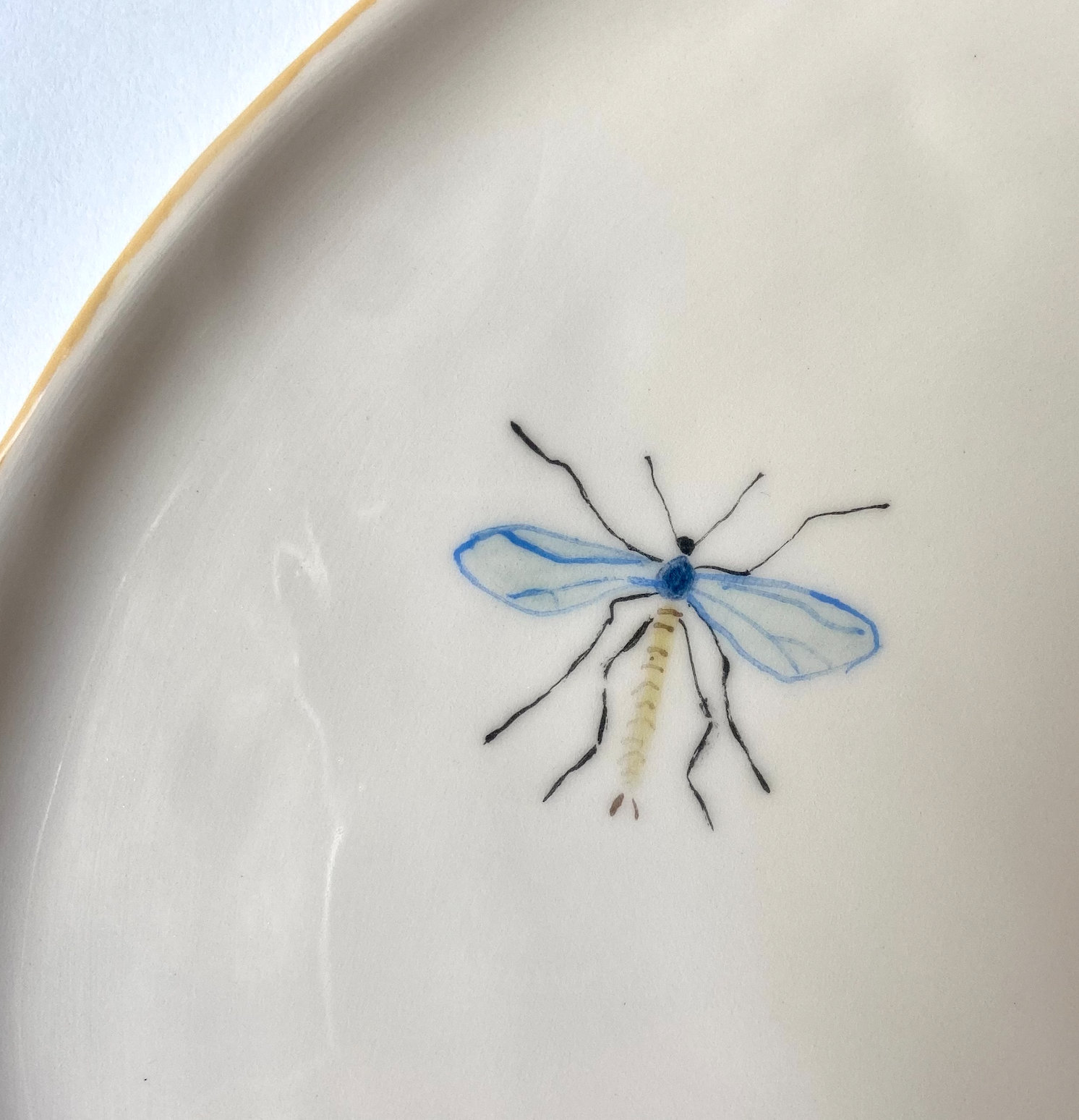 Assiette insecte 27 GP.png