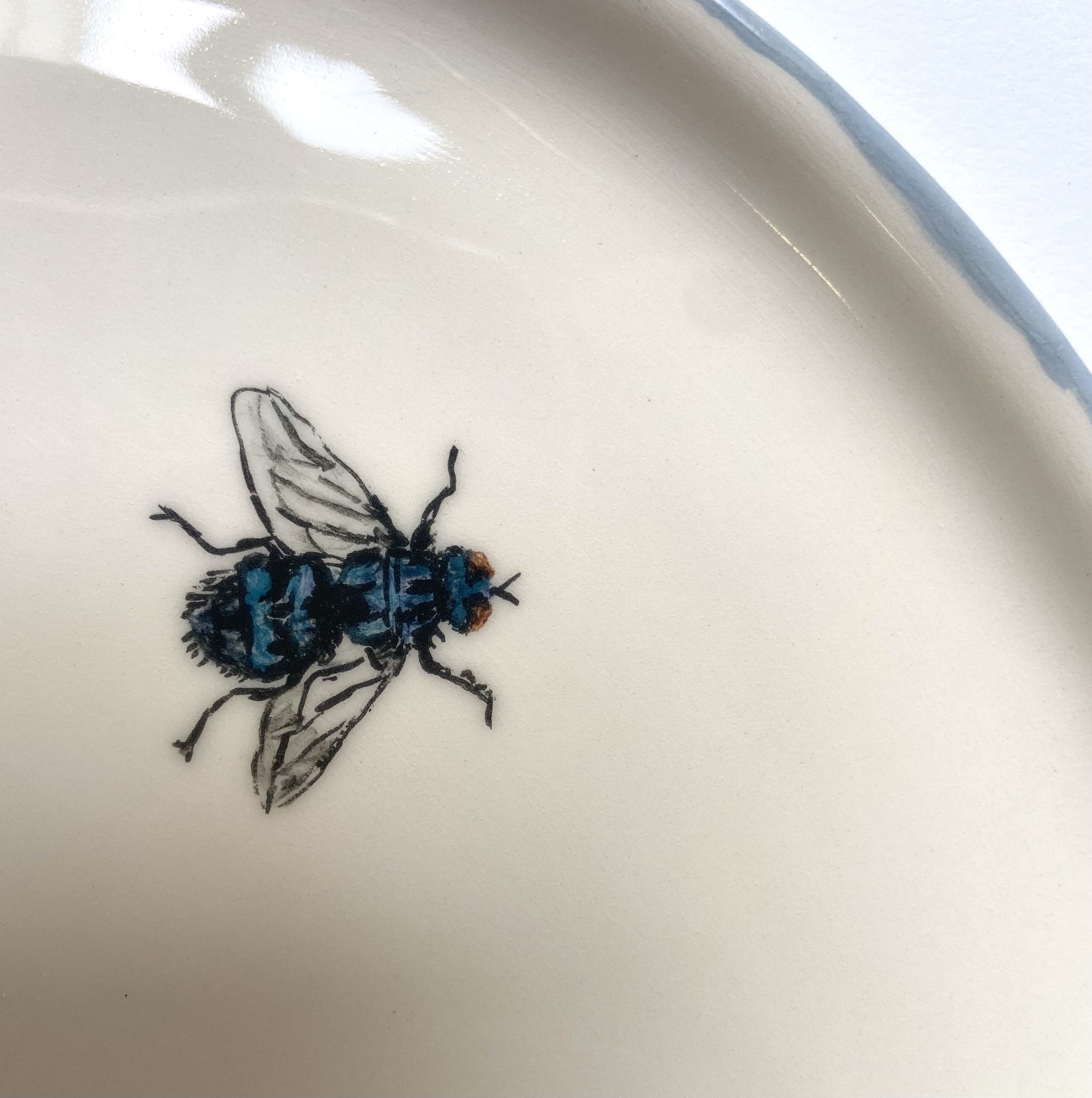 Assiette mouche bleue GP.jpeg