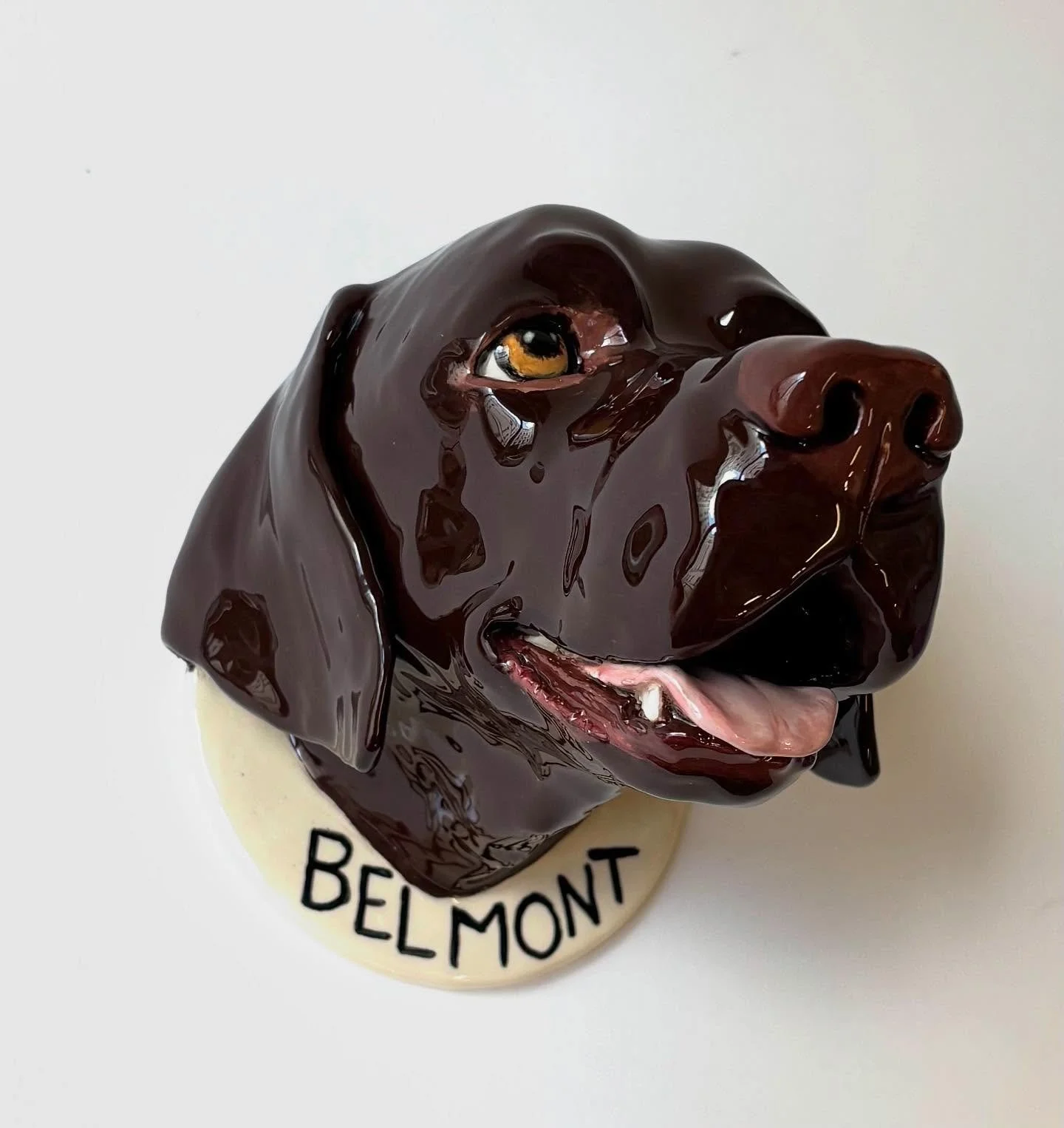 Beautiful Belmont , thank you David for ordering this portrait 🤎