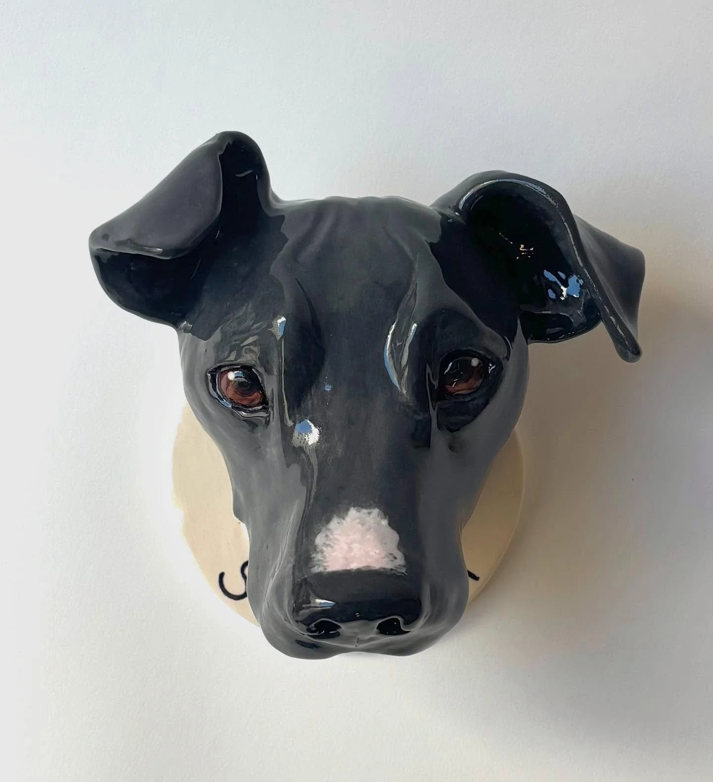 Sweetpea , gorgeous babe 🩶 Leash holder