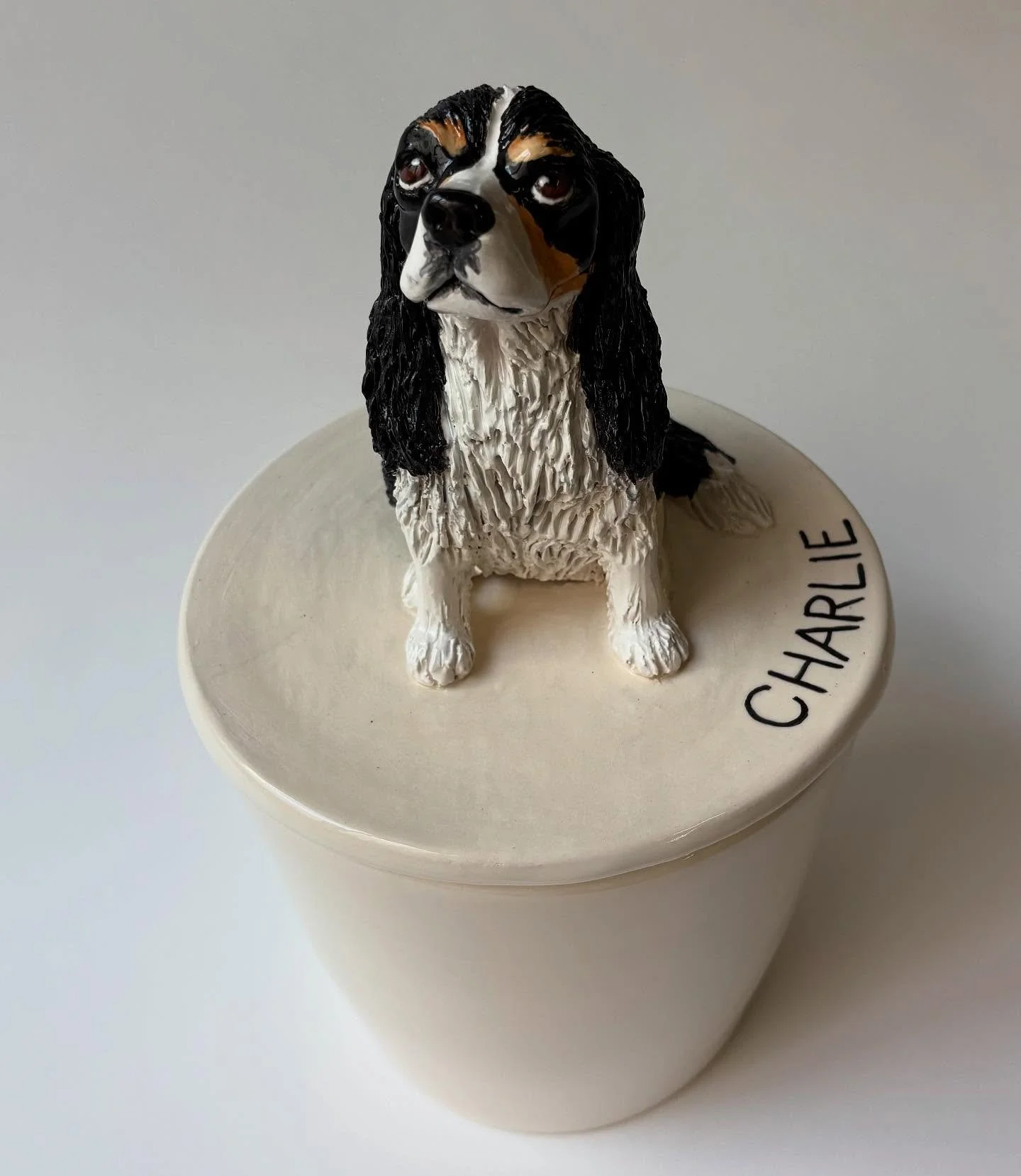 Adorable Charlie , Funny girl 🖤, thank you so much Linda!