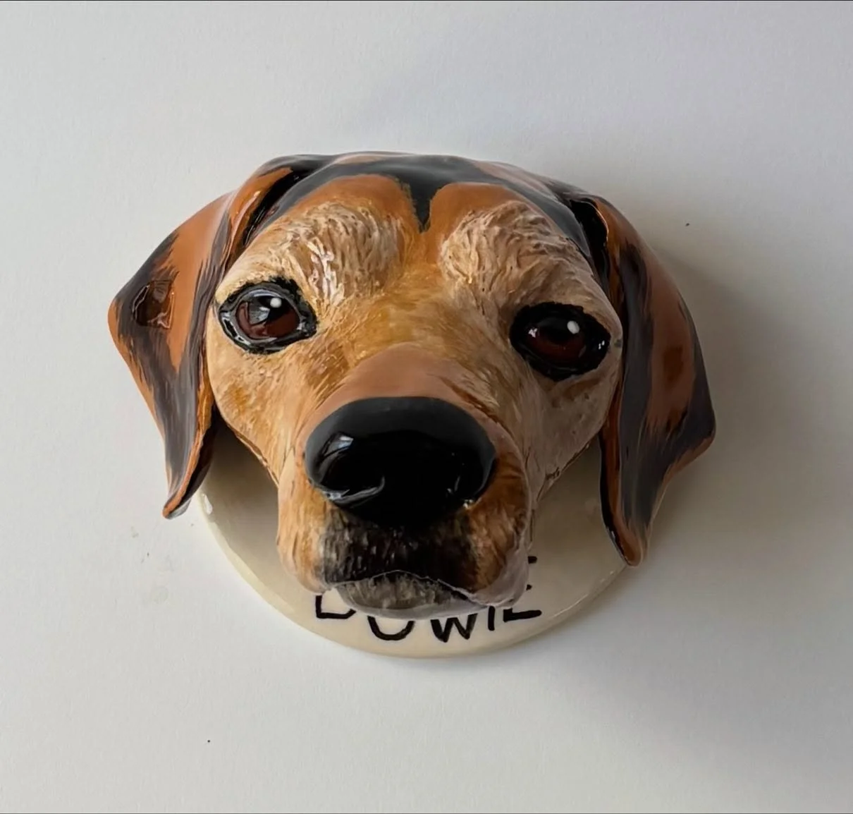 Bowie 🤎 from Cork 🇮🇪
