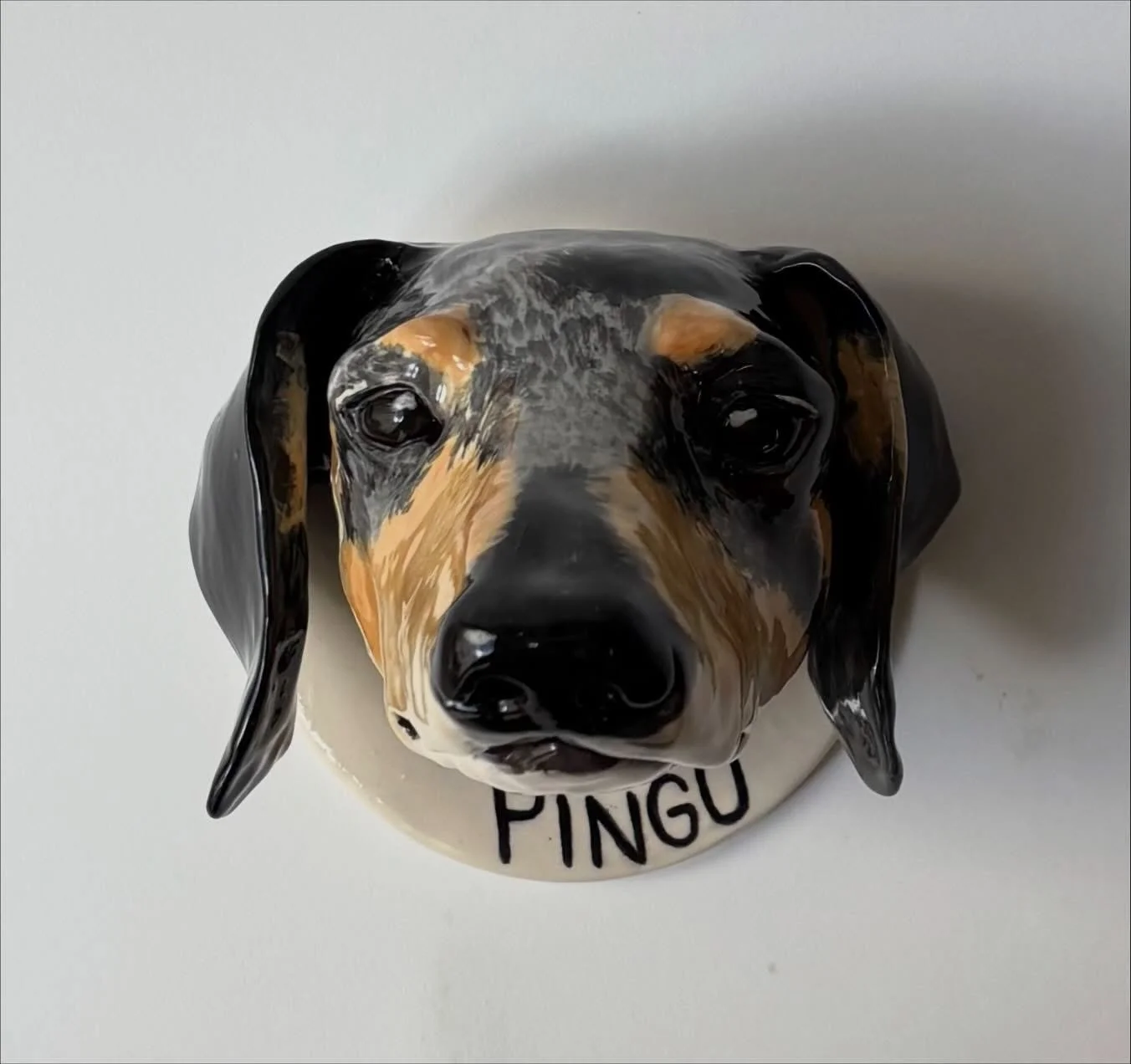 Pingu you finaly made it 🇺🇸 Thank you George for your kind support .