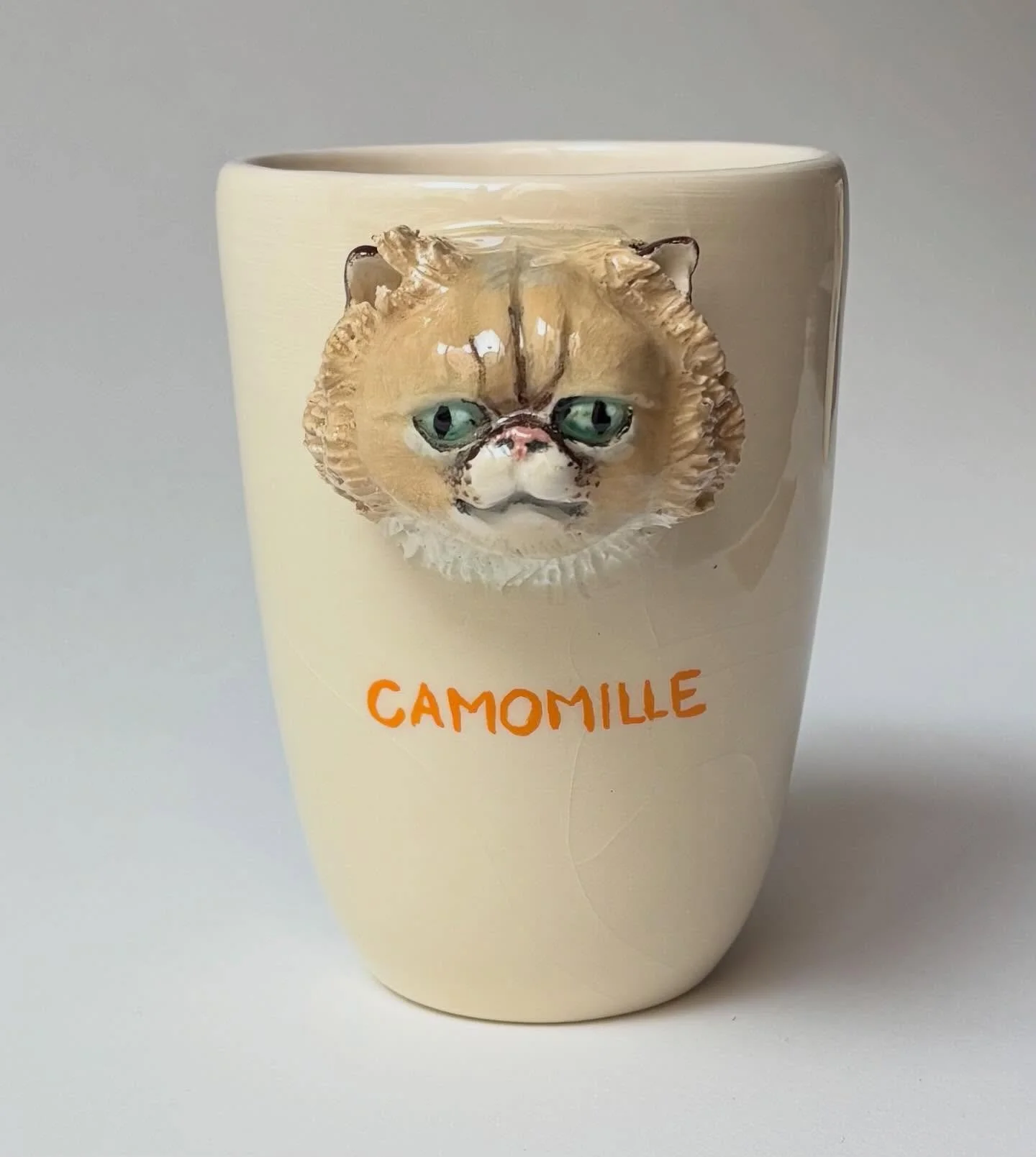 Belle Camomille, merci Audrey 🧡