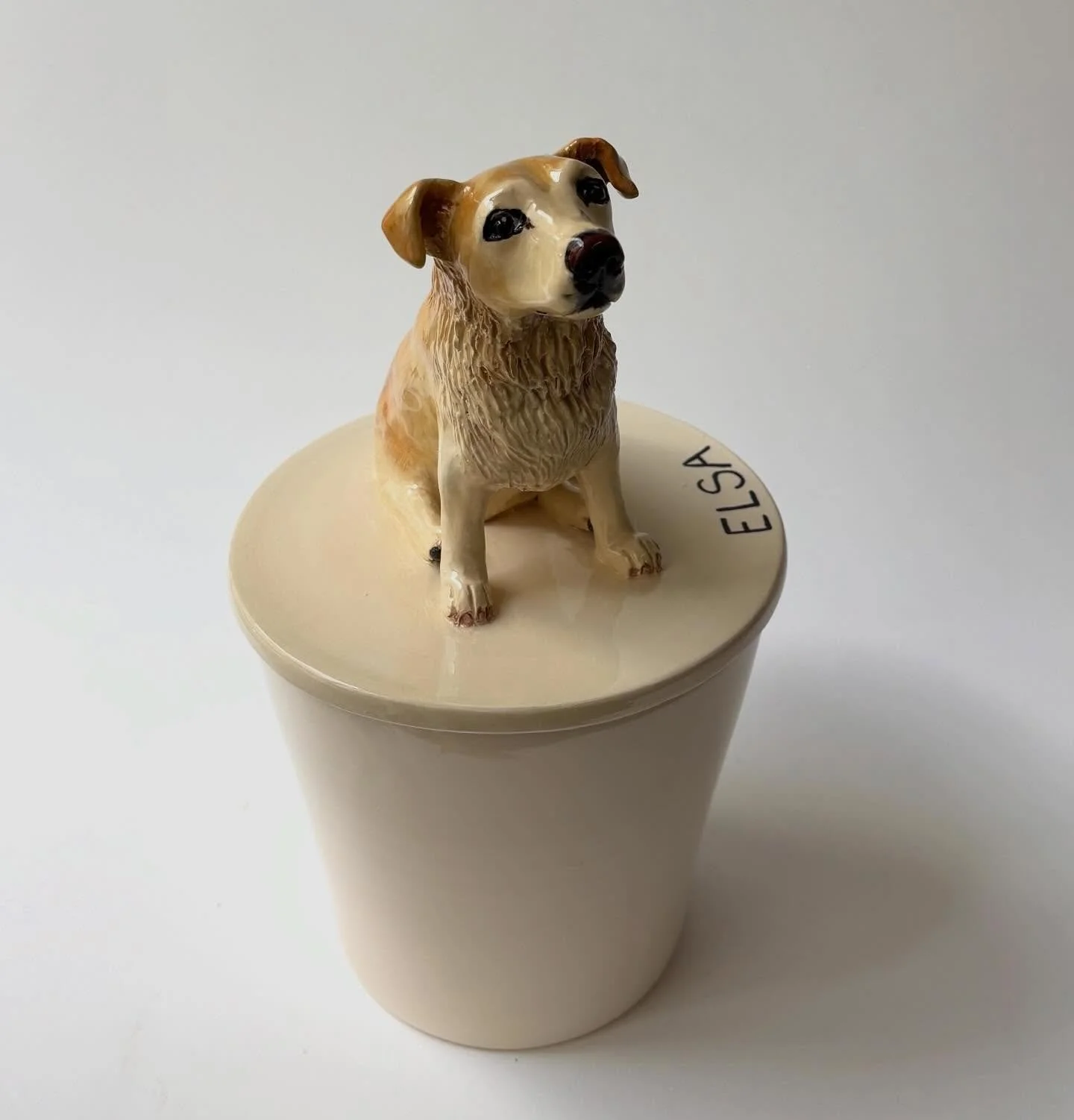 Very very sweet Elsa 💓Thank you Carolyn xxx