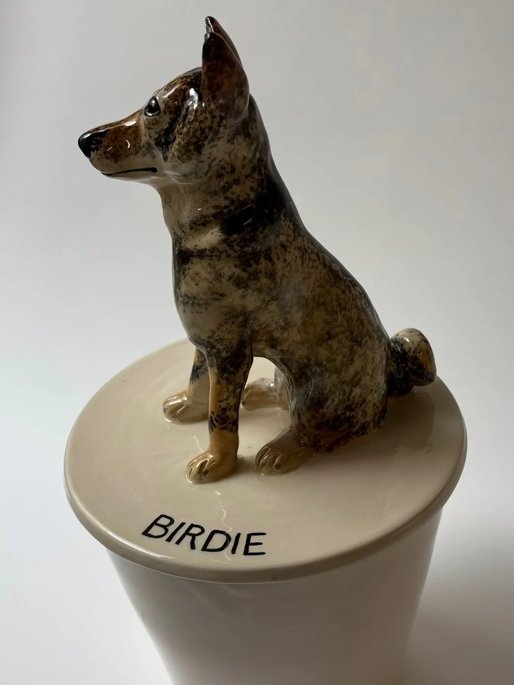 Birdie friend of Babu Thank you so much Christine !🇺🇸