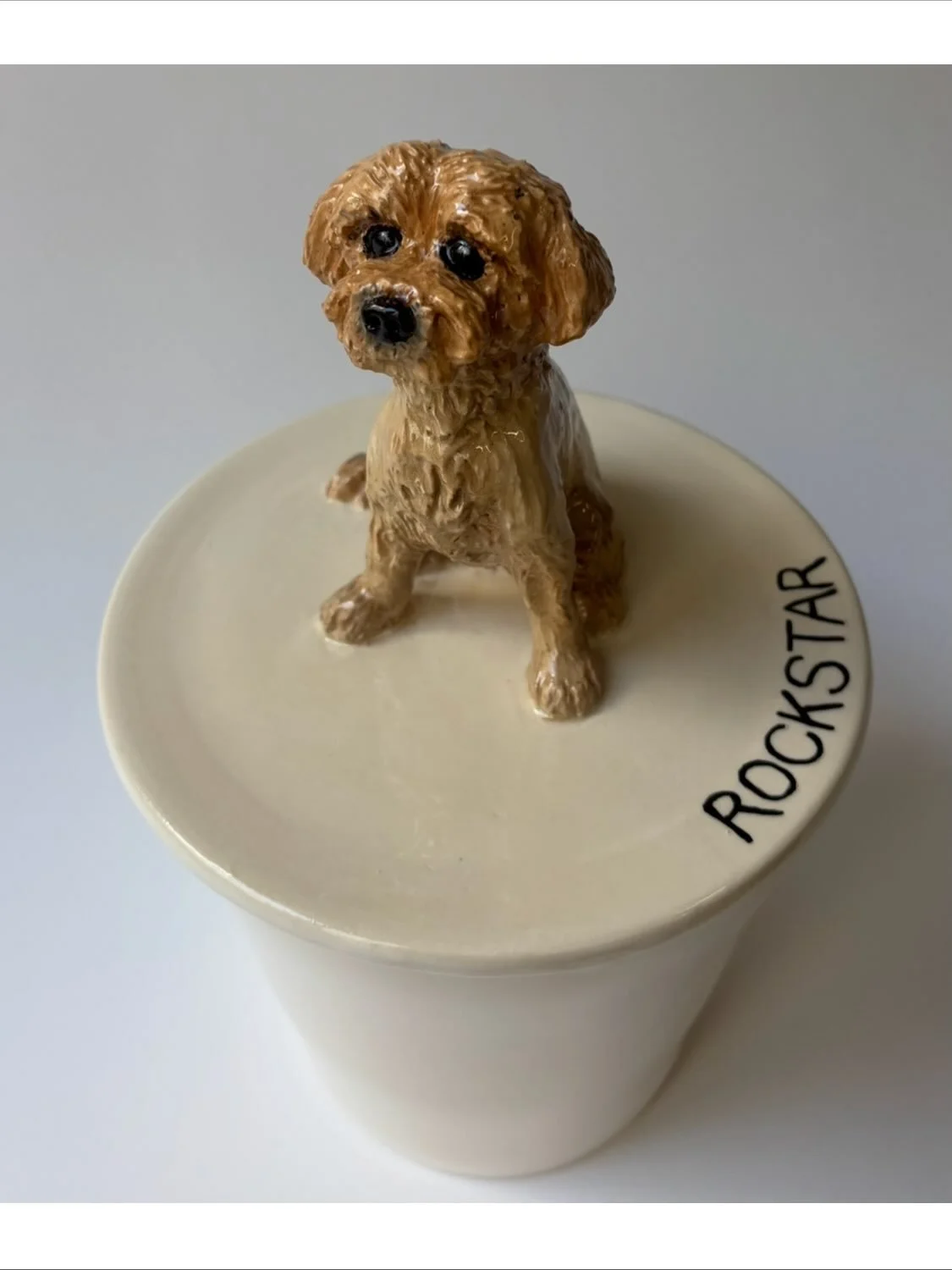 Lovely Rockstar ✨✨