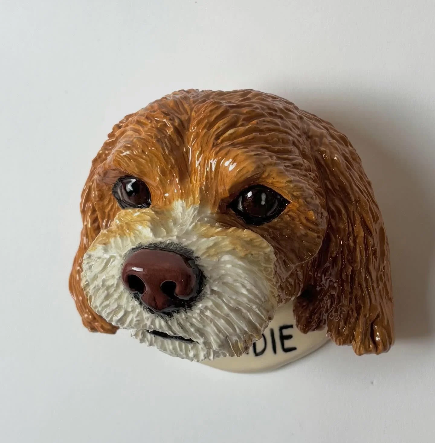 Birdie so sweet 💕✨Thank you Heidi