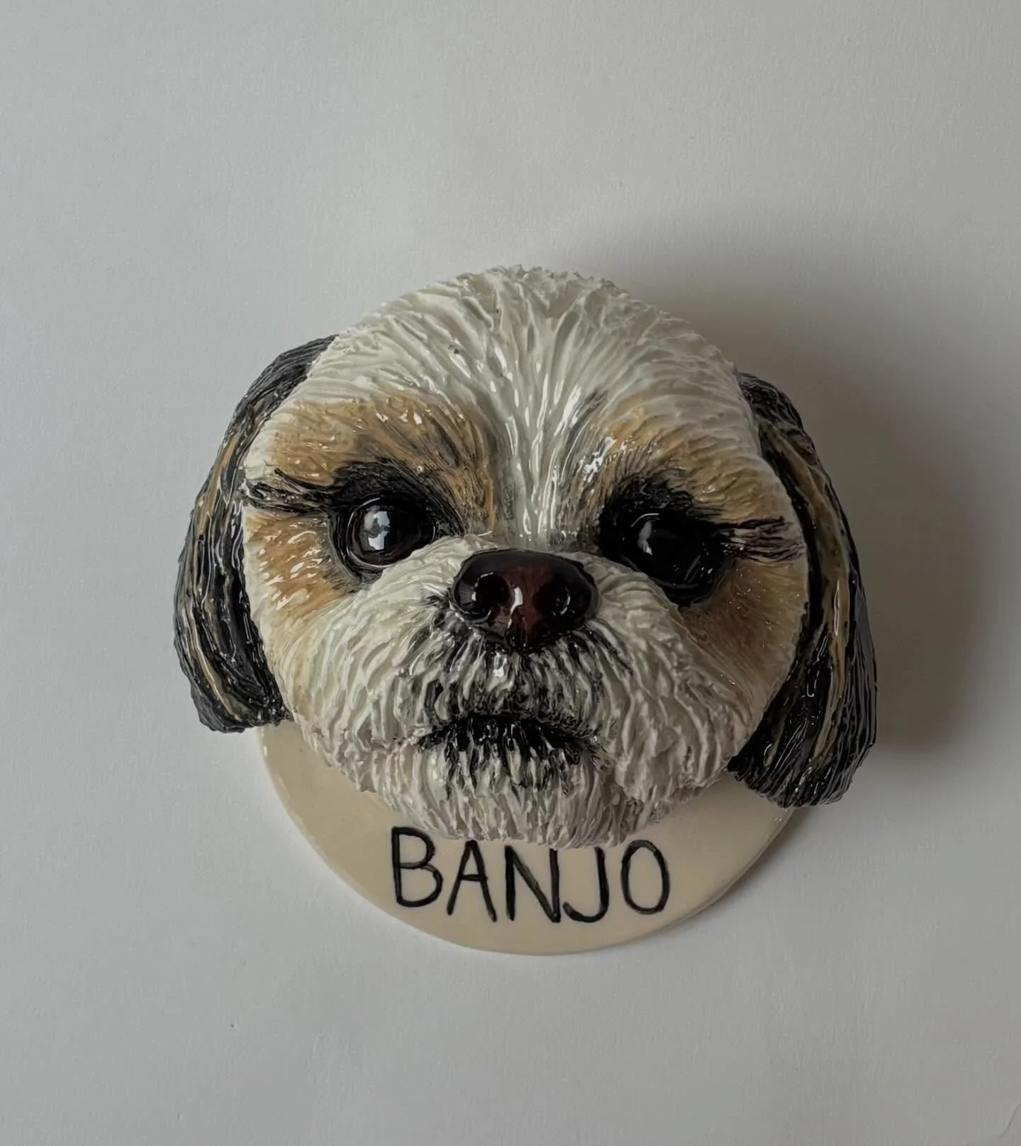 Banjo for Heidi 🤍 thank you so much 💞