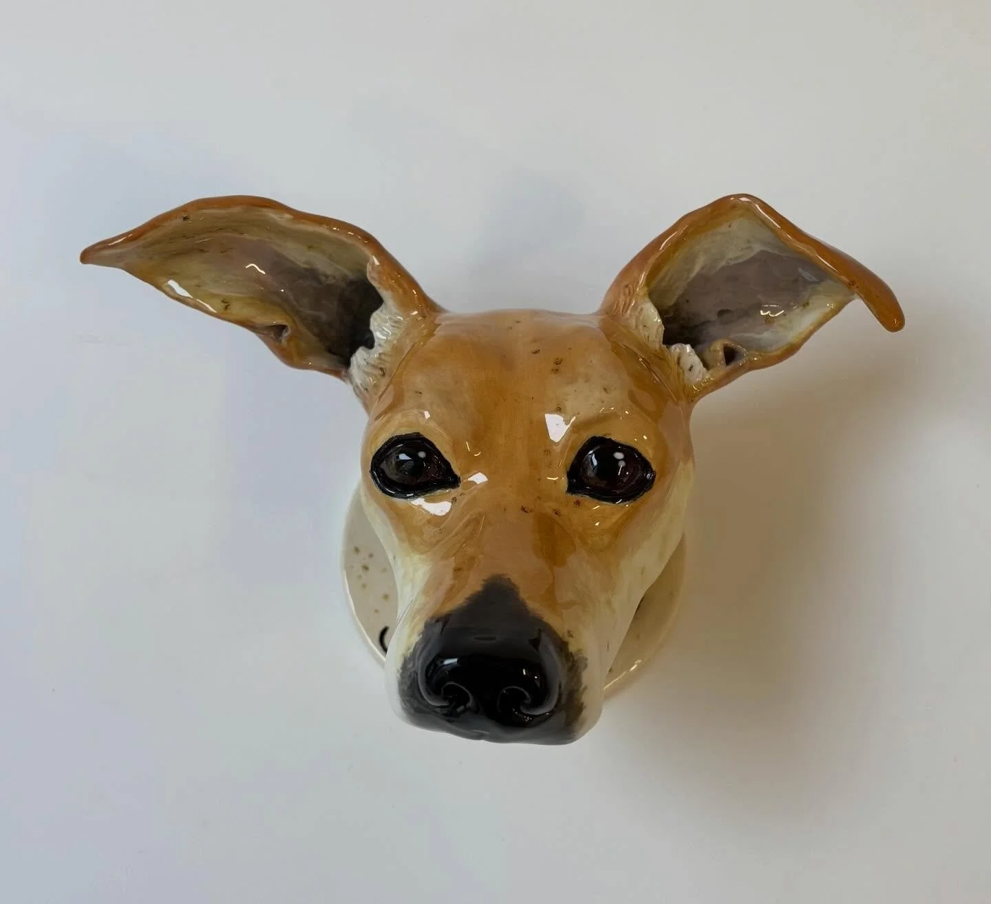 Jinga from Brazil 🤩 Joyeux No&euml;l ✨💕