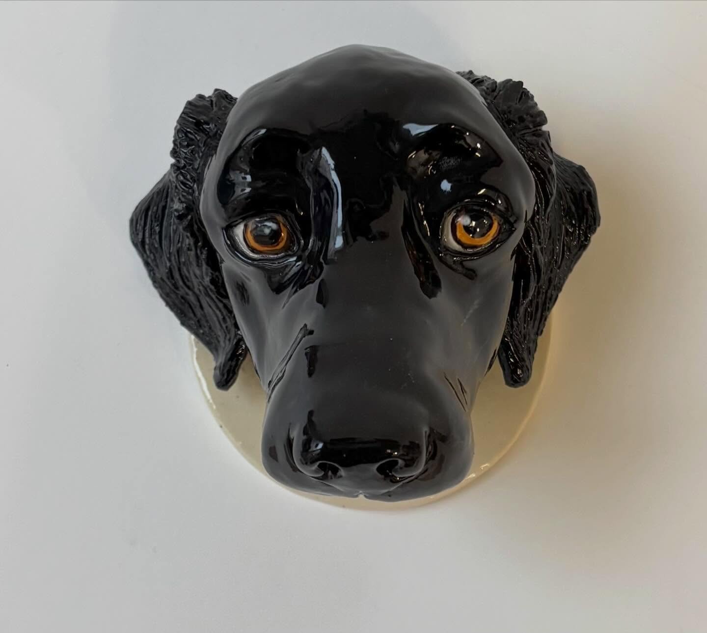 Magnifique Nico 🖤 Merci Aude pour cette commande de Porte laisse .