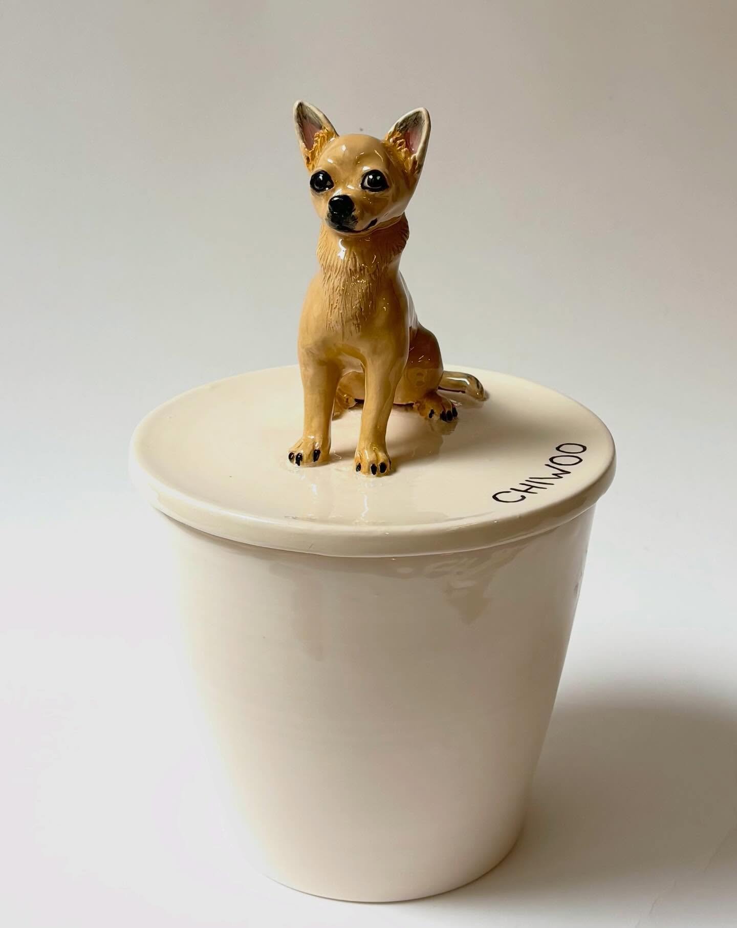 So cute Chiwoo ! Thank you Caitlin for this commission.