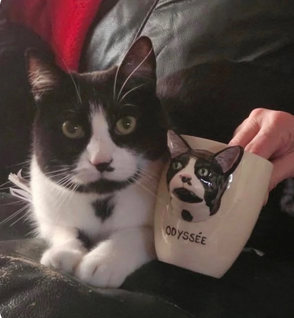 Rrrrr la belle Odysée , merci Audrey .