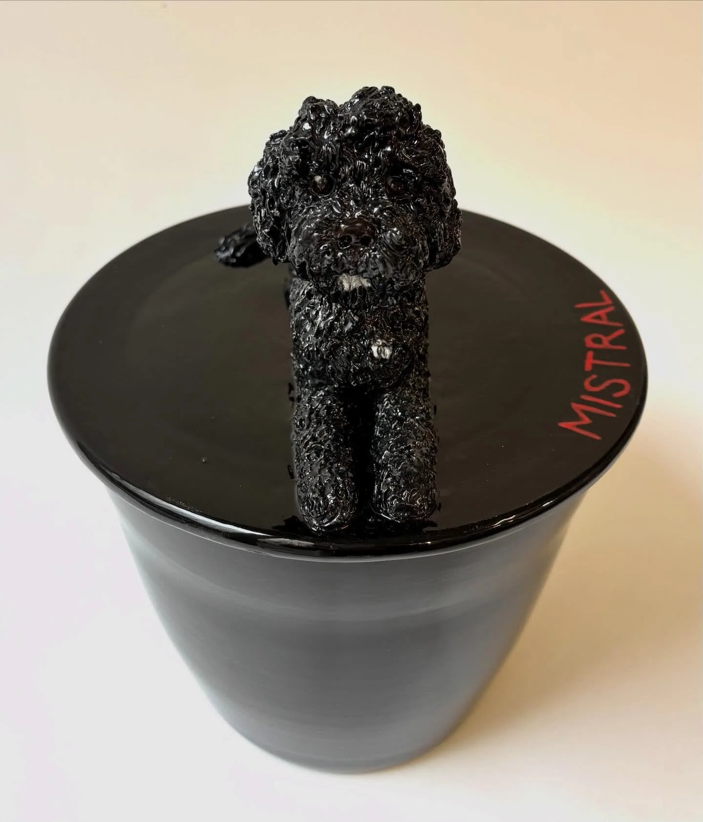 Bo&icirc;te &agrave; friandises pour l&rsquo;adorable Mistral 🖤Merci Fabrice !