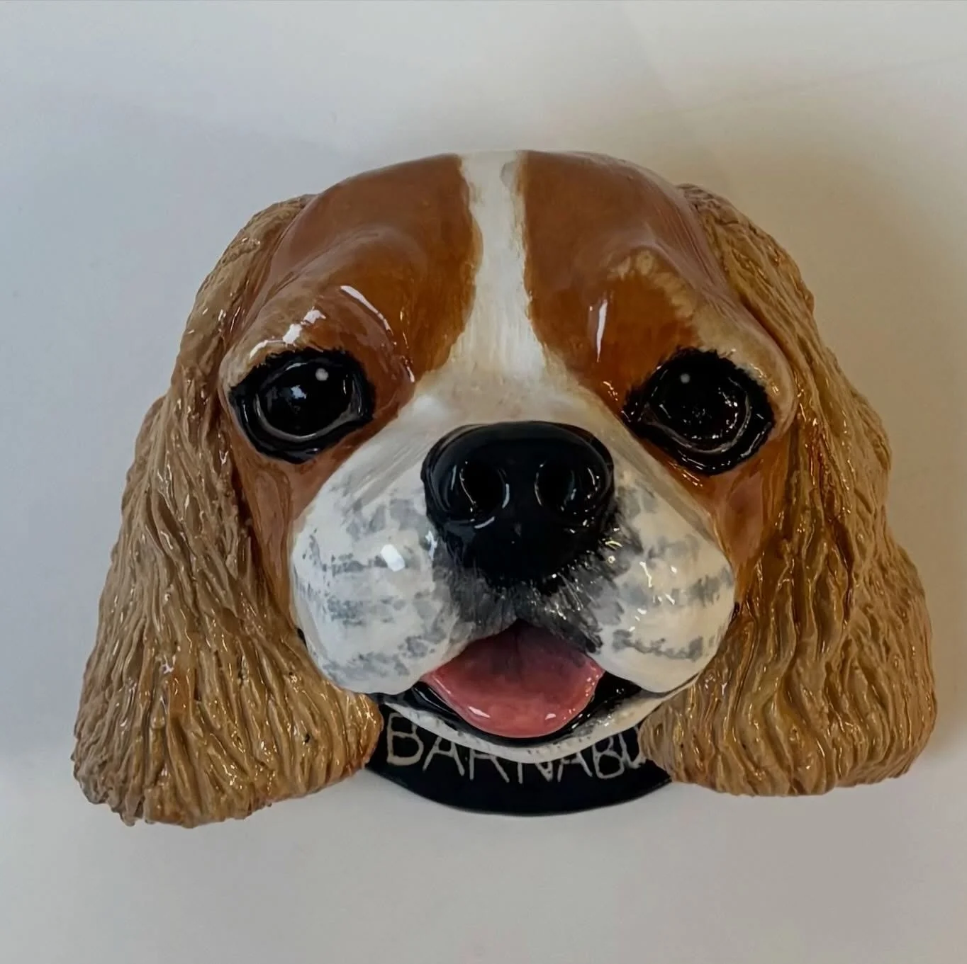 Barnabus , so sweet 💙