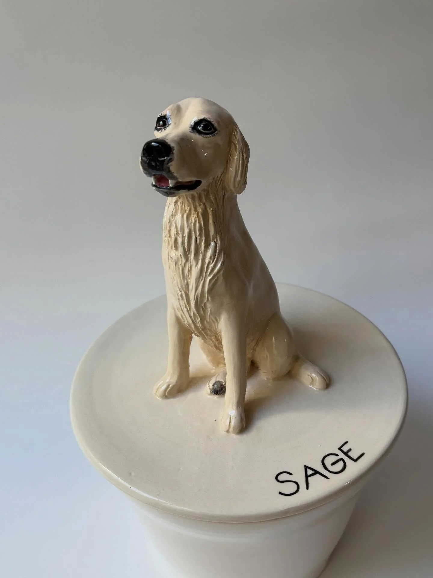 Here come Sage , 🤍🤍🤍 thank you again Kate !