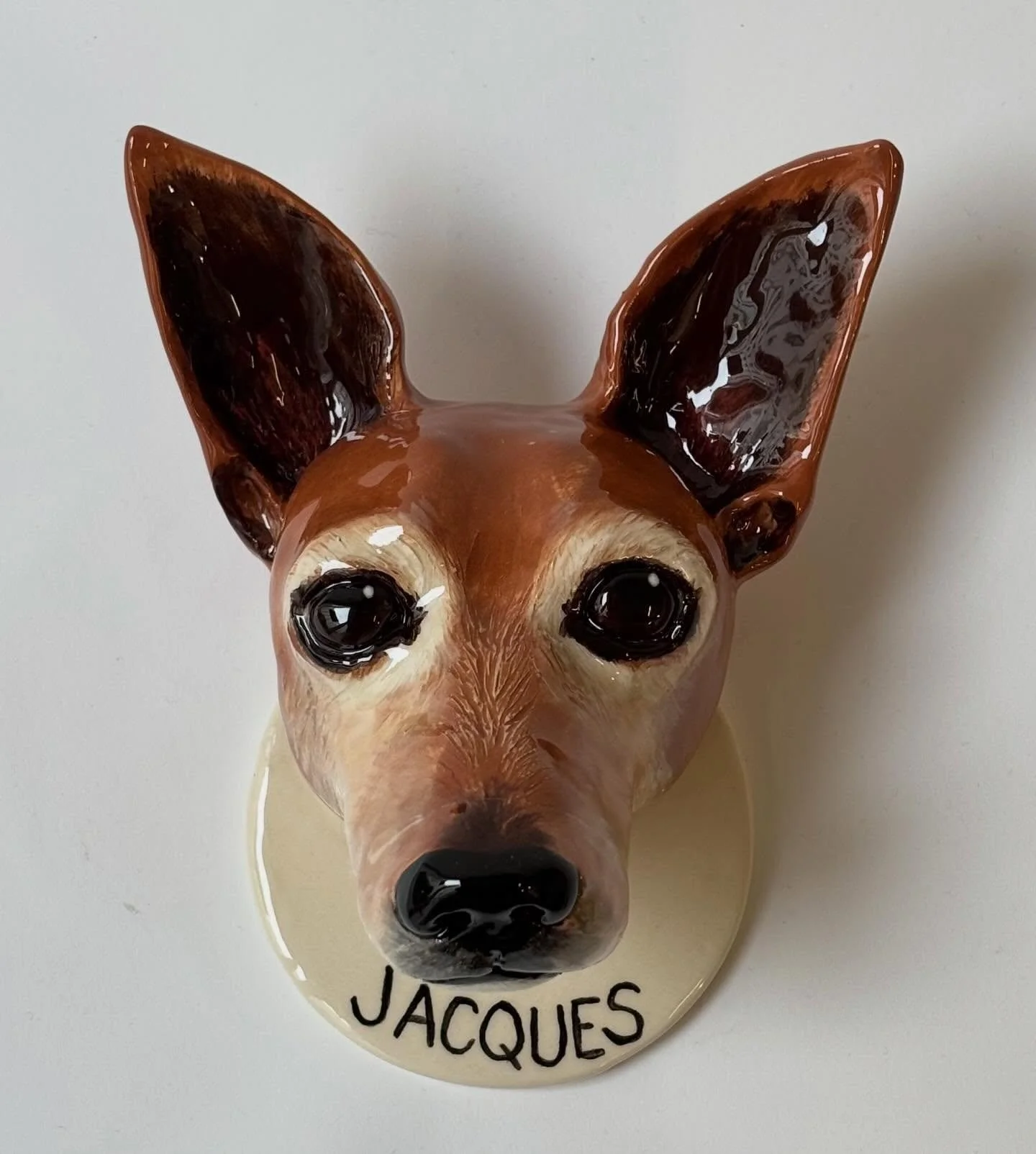 Introducing Jacques , à very pretty boy ⚡️ Leash holder for you darling 🤎