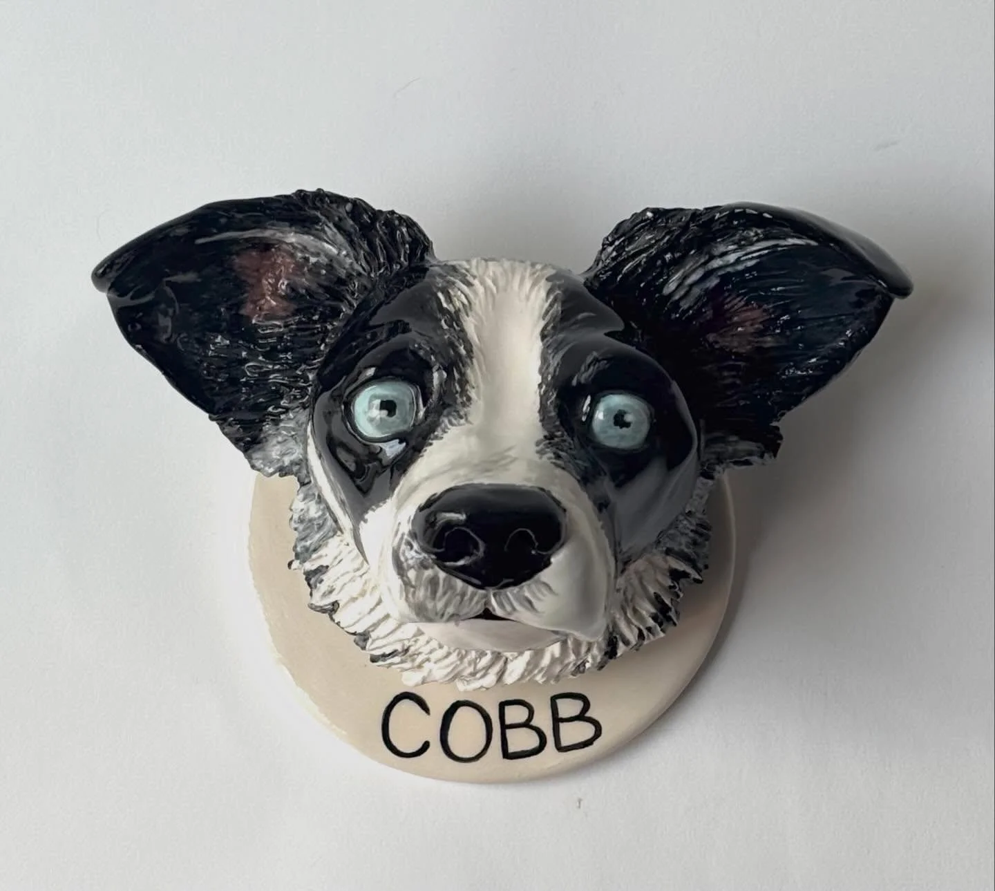 Cobb your are so beautiful 🩵 Thank you so much Lindsay 
Leash holder portrait
