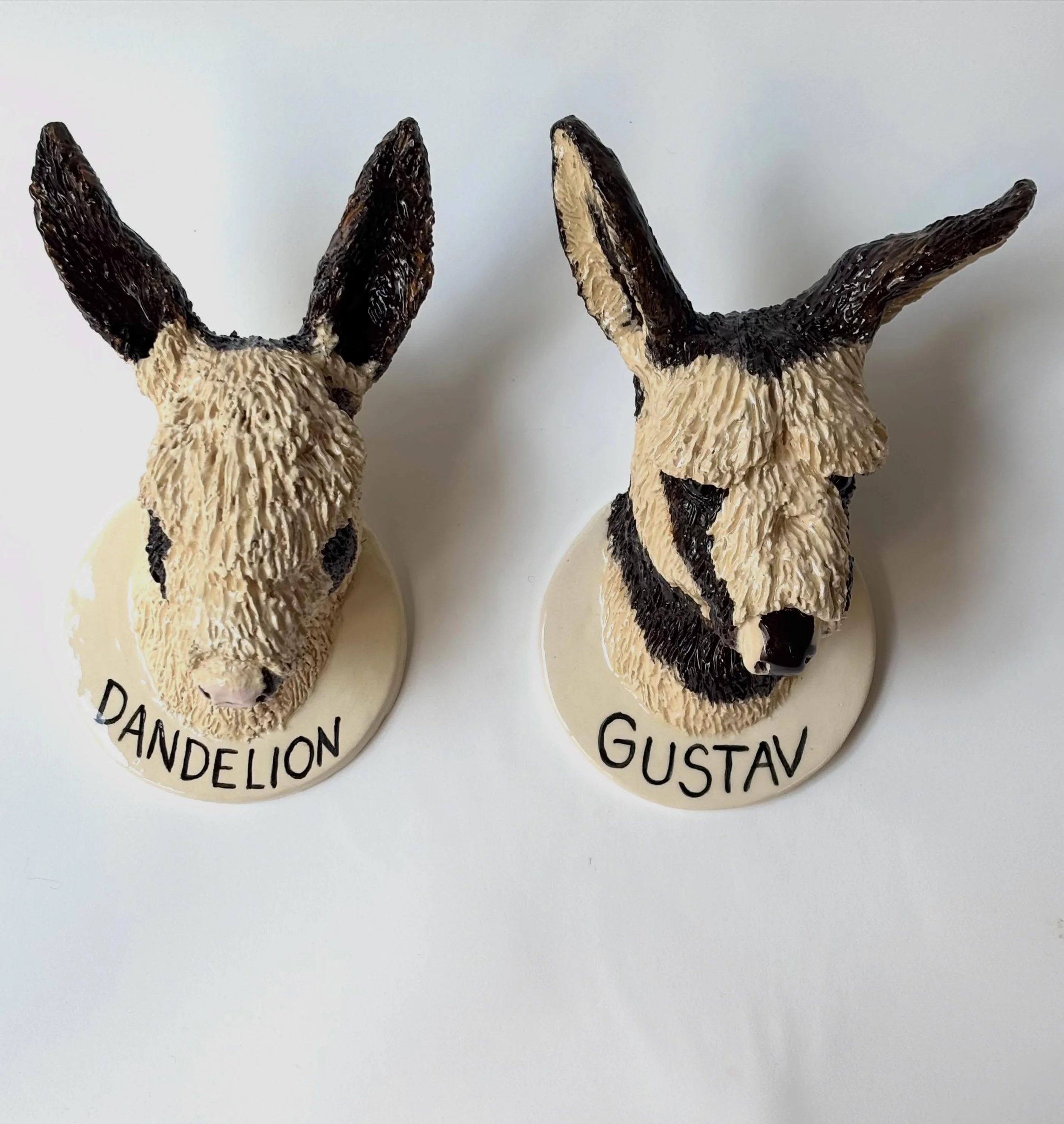 I love Donkeys and these 2 are so beautiful , thank you Reilly 🤎