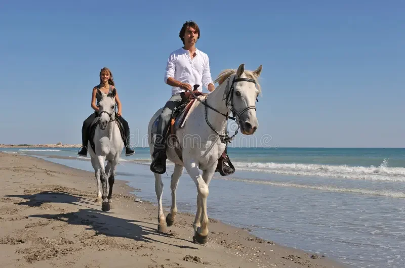 Half-day Horse-Riding Trip