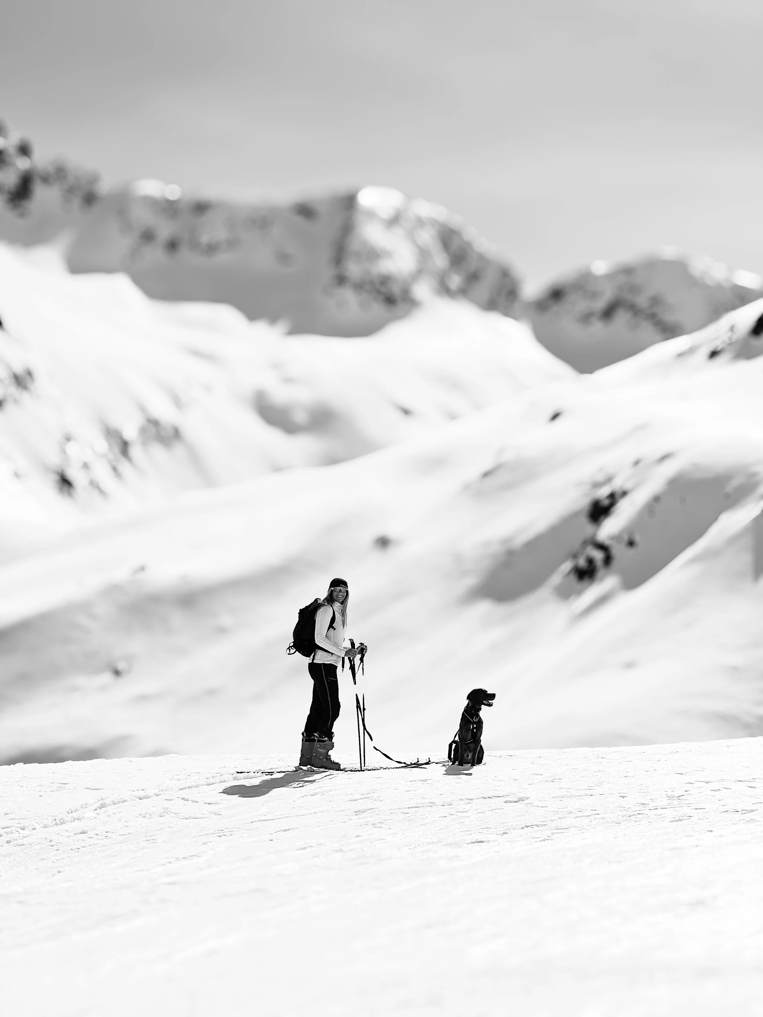 Kristine på ski i fjellet med hund