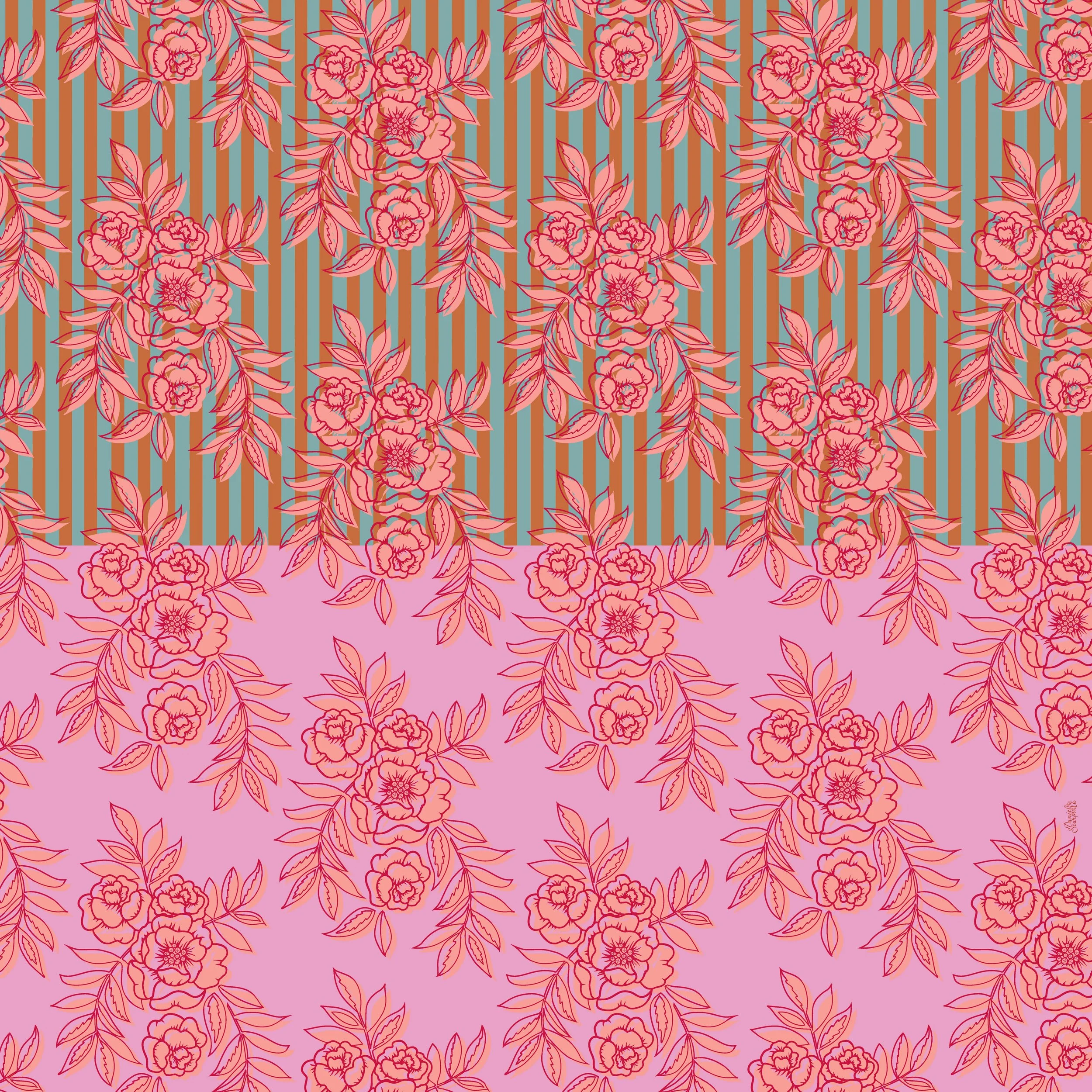 SetaCotonePareo140x140.jpg