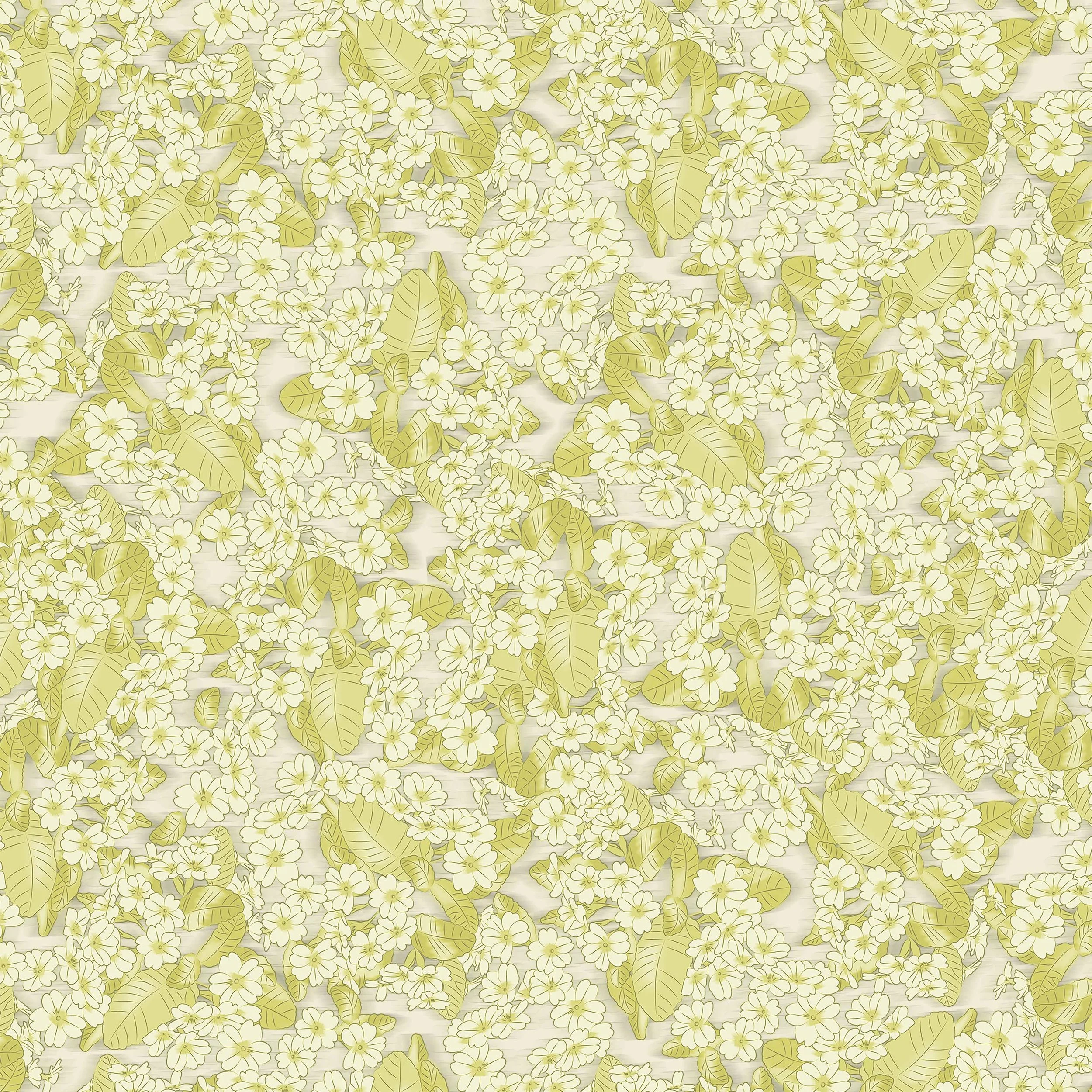 Primroses