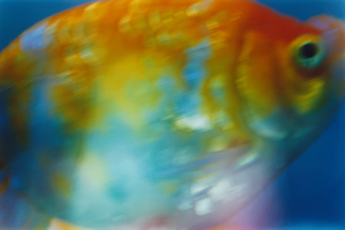 ld26-1200x800.jpeg