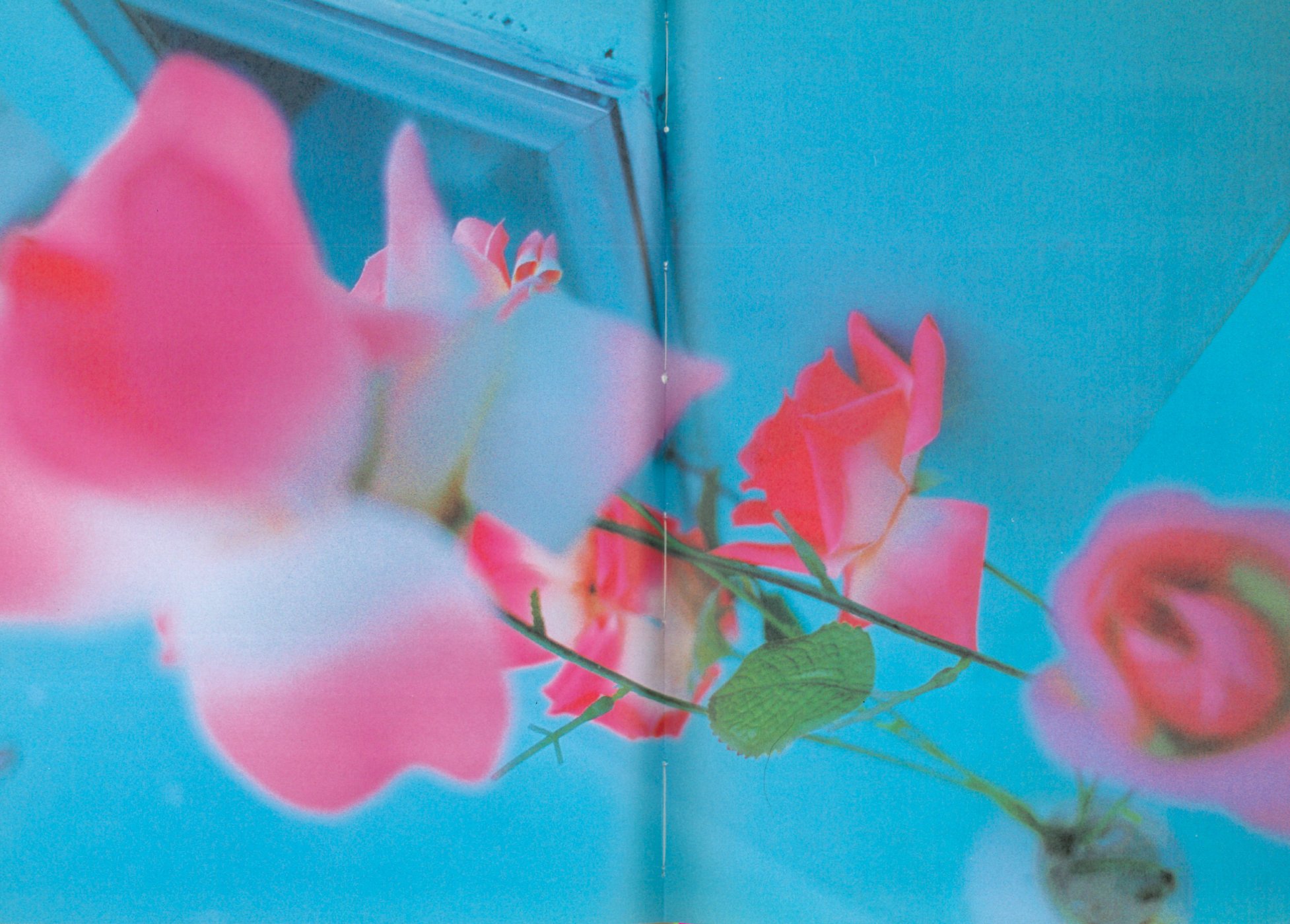 Pink Rose Suite Pages 07.jpg