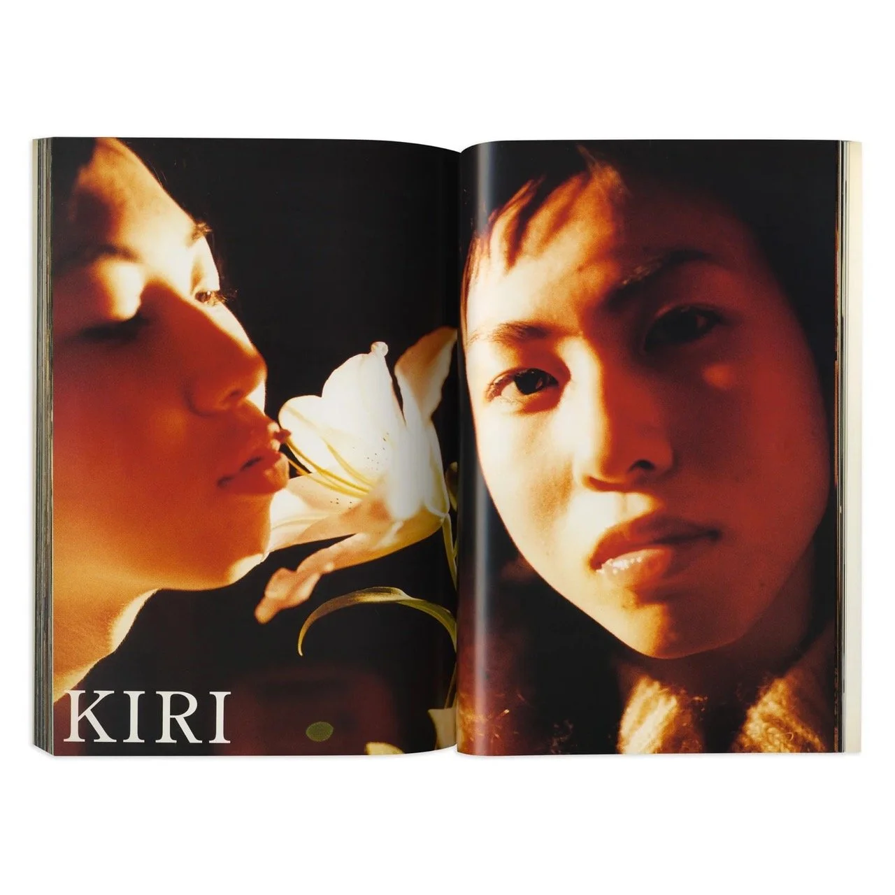 レア本】HIROMIX / JAPANESE BEAUTY Hiromix - Japanese Beauty Book 
