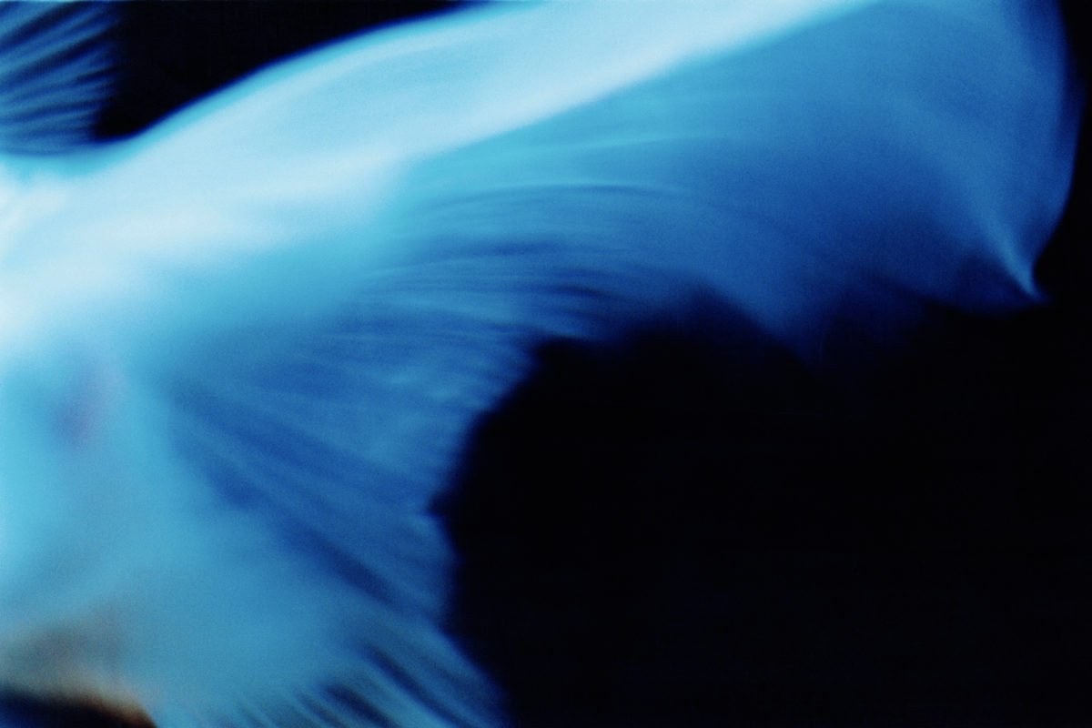 ld02-1200x800.jpeg