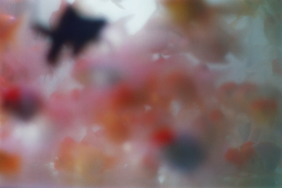 ld29-1200x800.jpeg