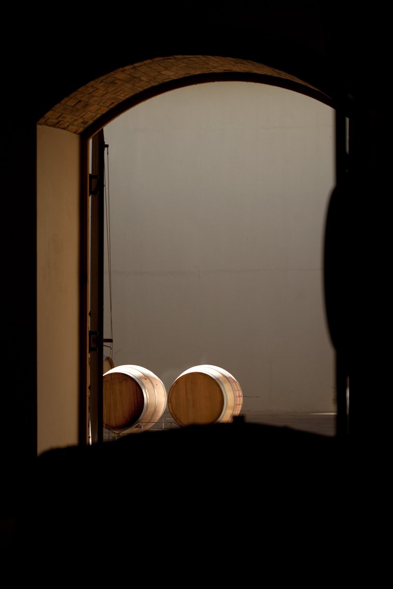 A dark arched stone doorway framing lit oak maturation barrels inside a silent cellar, by Bakkes Images.