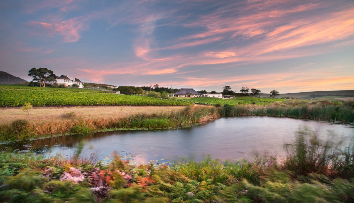 Scenic panoramic view of a calm reflecting water dam and pink skies at Bouchard Finlayson, by Bakkes Images.