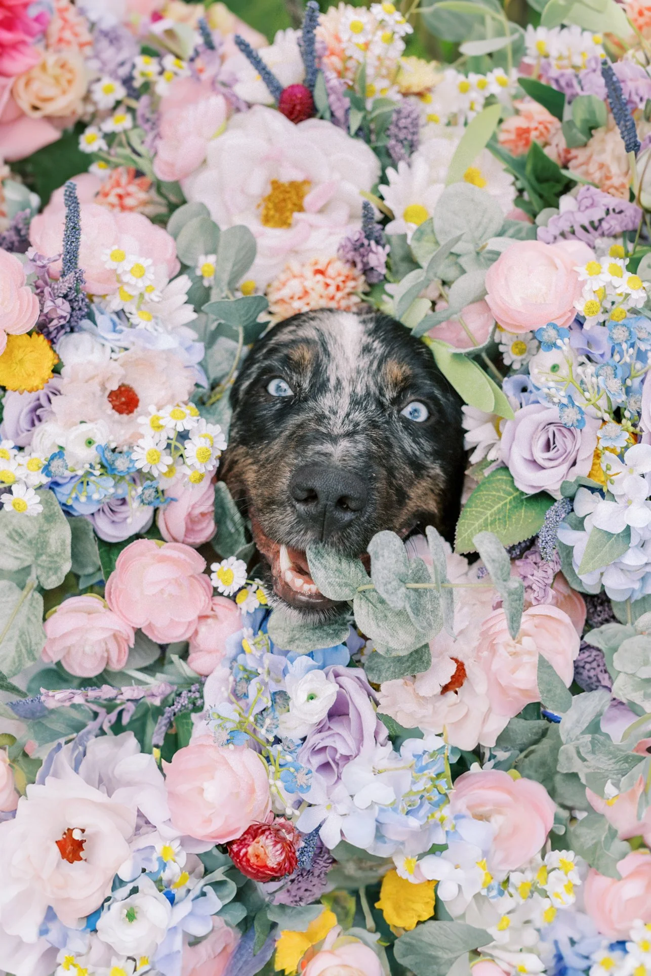 A Venue Where Every Member of the Family Is Welcome—Including Your Dog