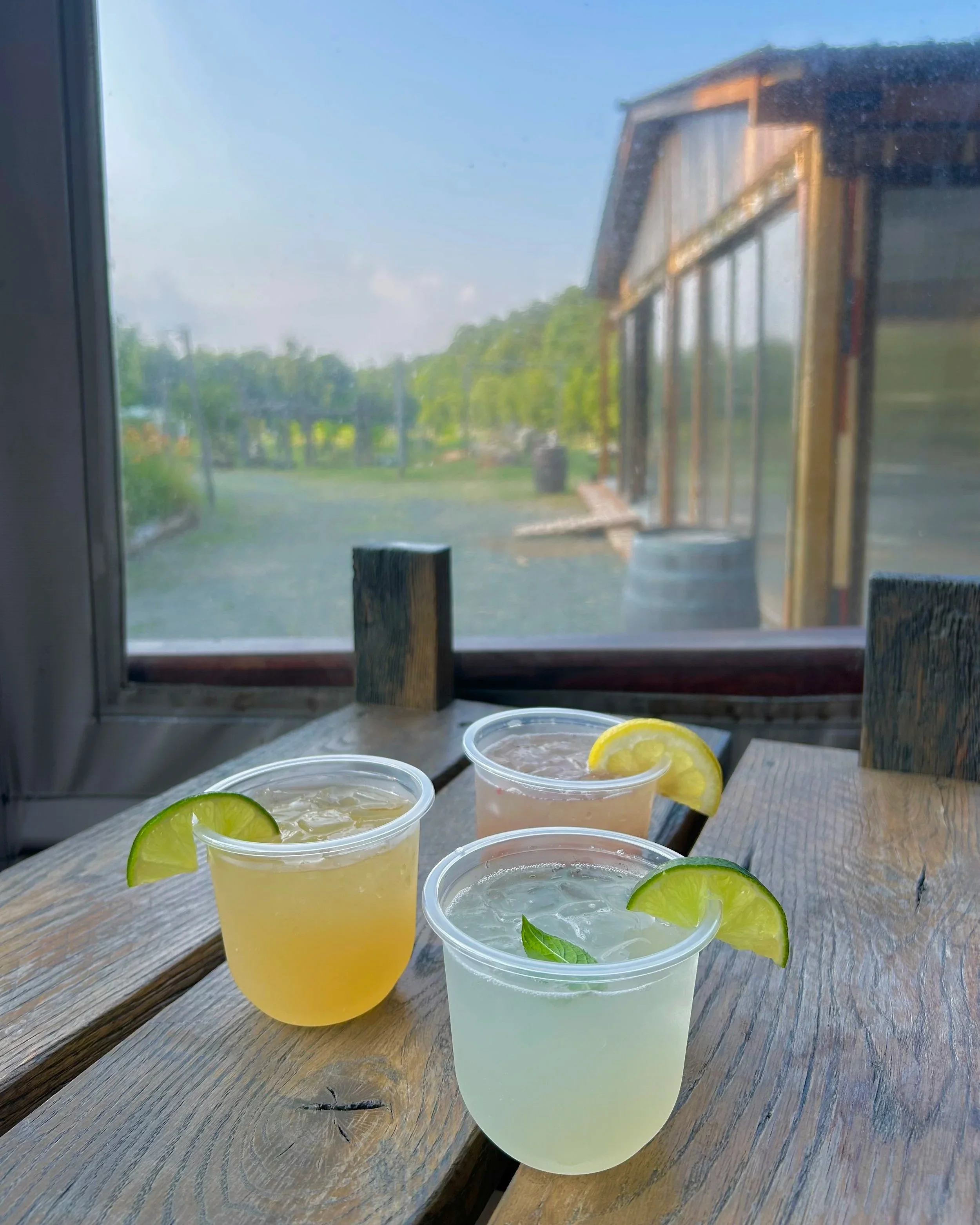 Summer at Honeysuckle: A Season of Gatherings, Experiences &amp; What’s Coming Next