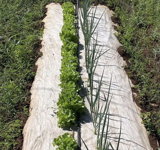 E2. Biodegradable Weed Mat, 3x25 Roll