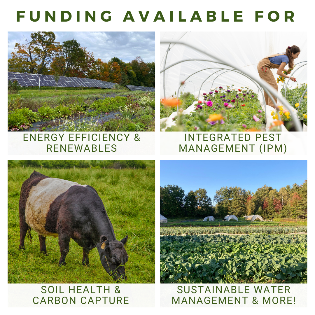 Announcing the 2025 Climate Resilience Grant