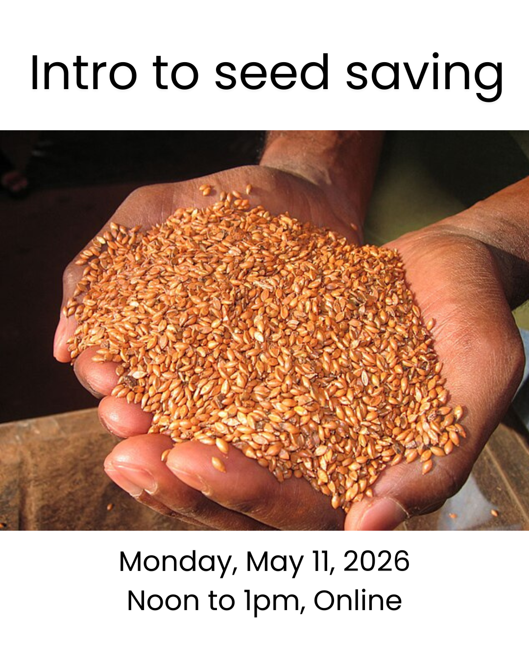 Seed Saving Workshop Series - Session 1