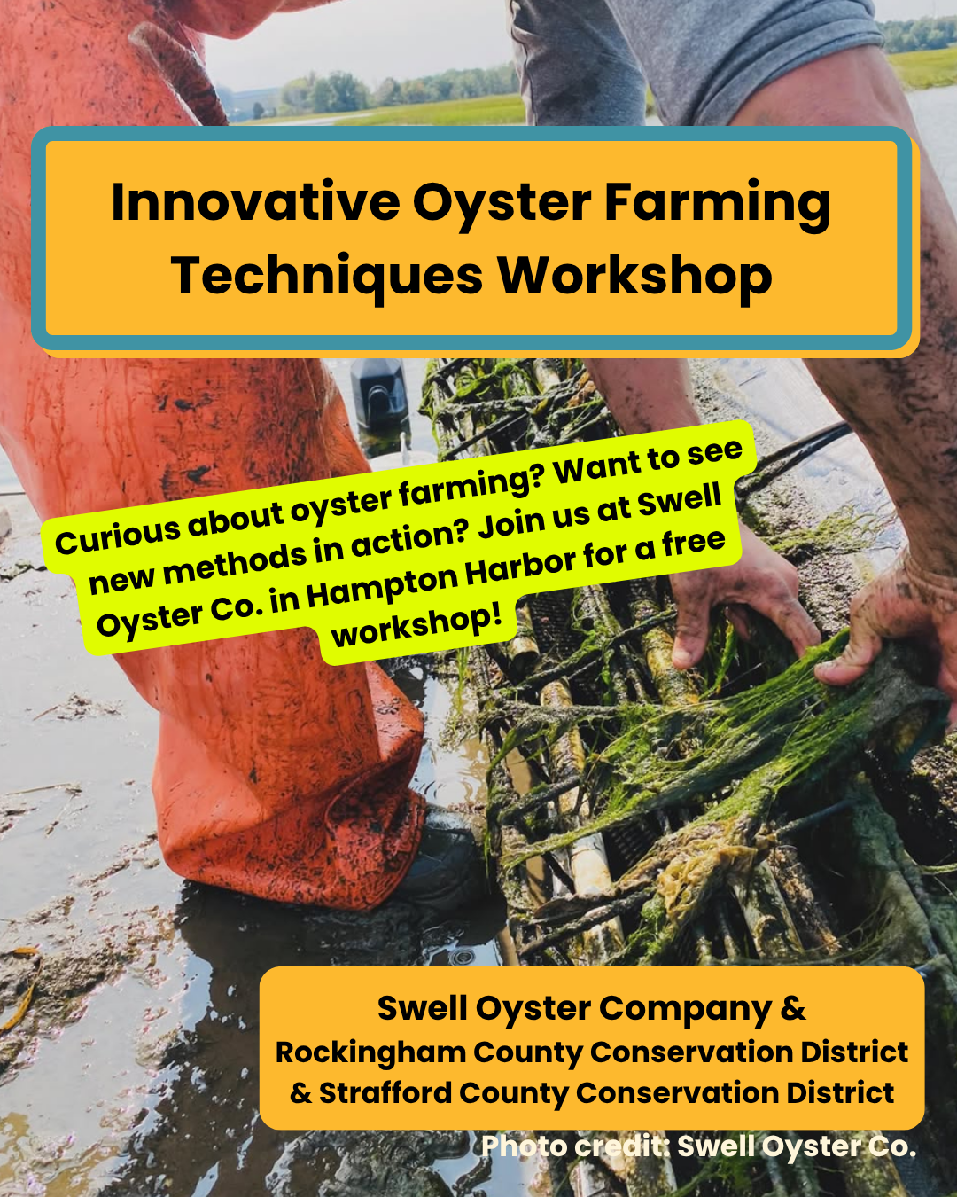 Oyster Farming Workshop